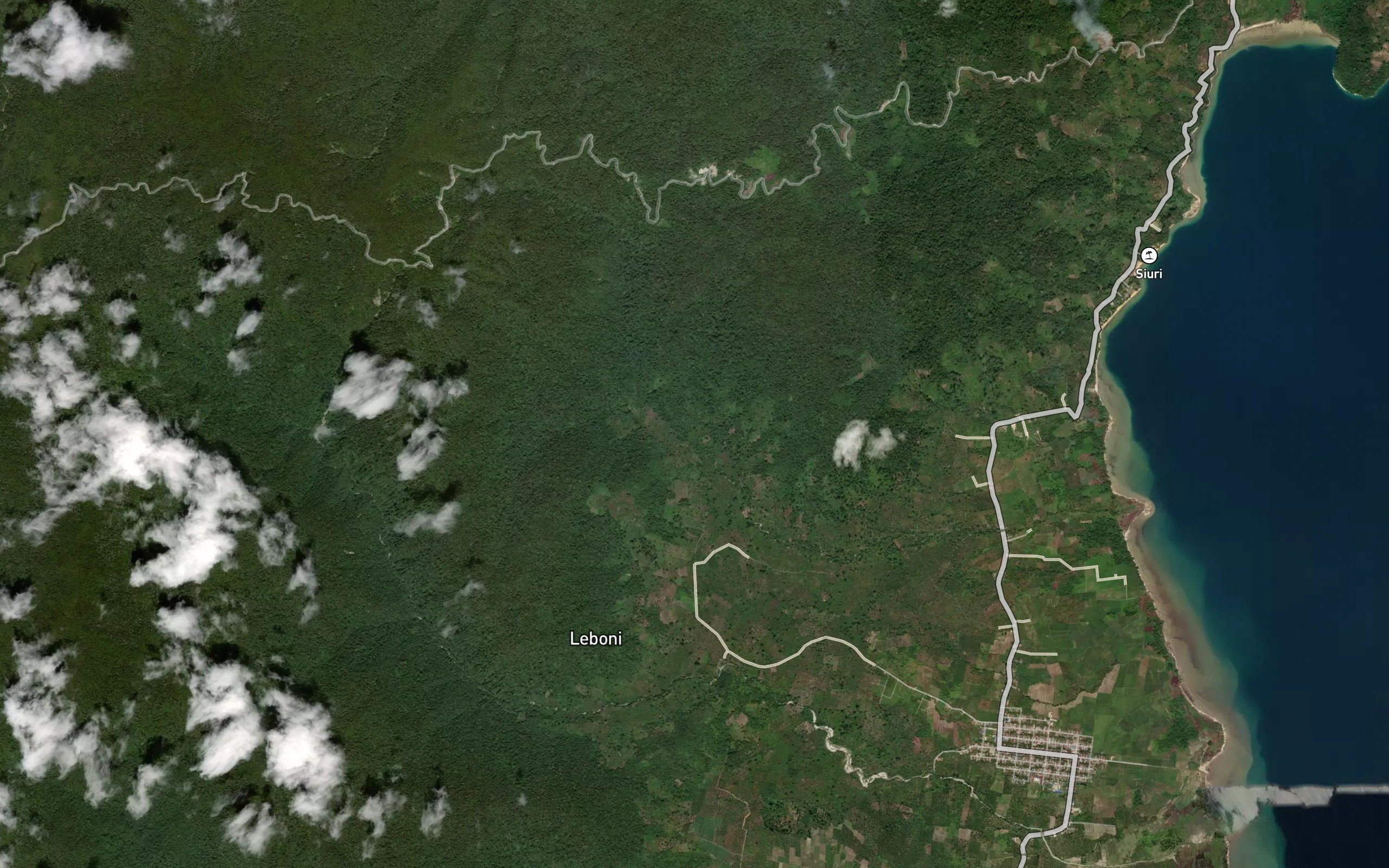 Halu Torau