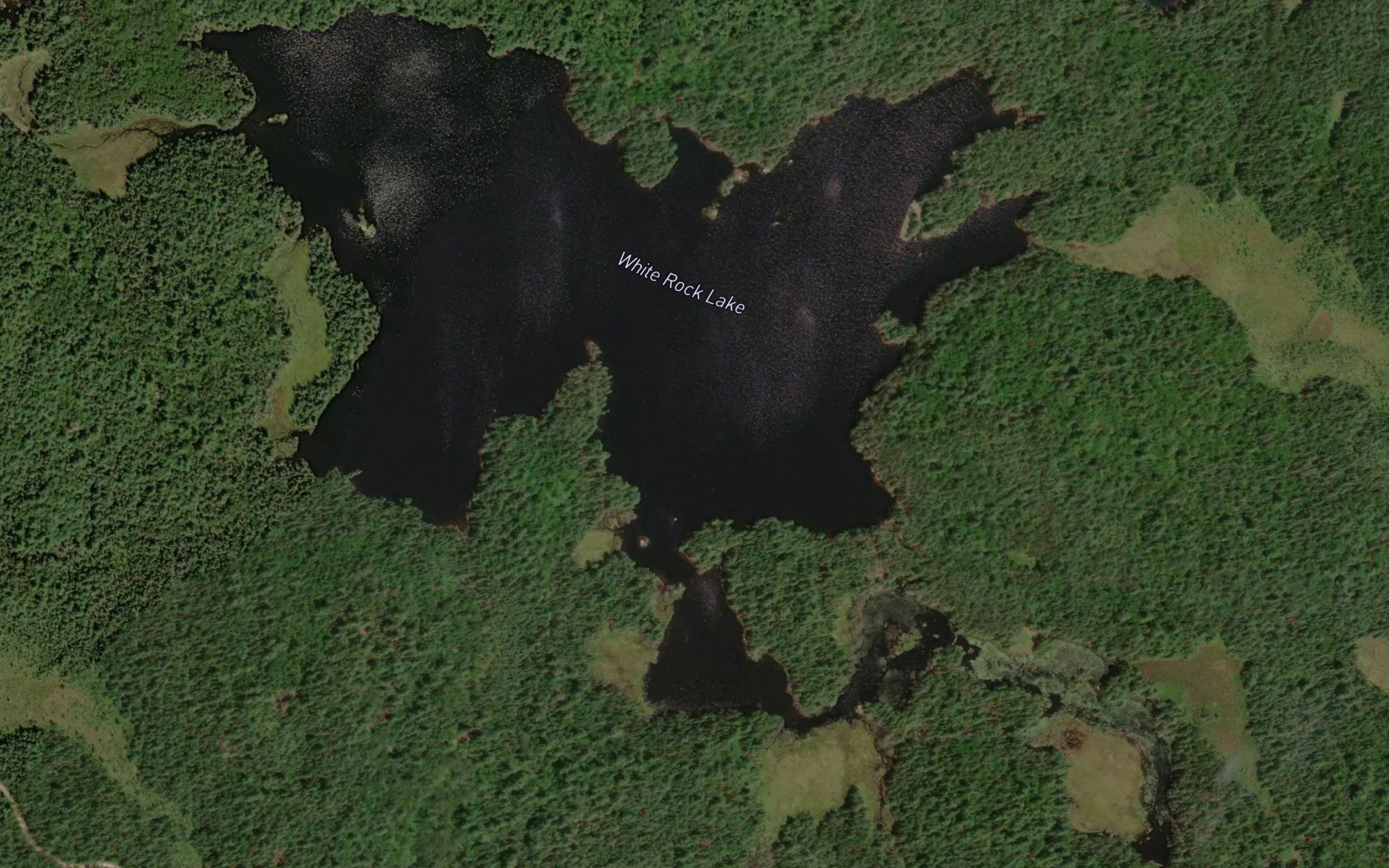White Rock Lake