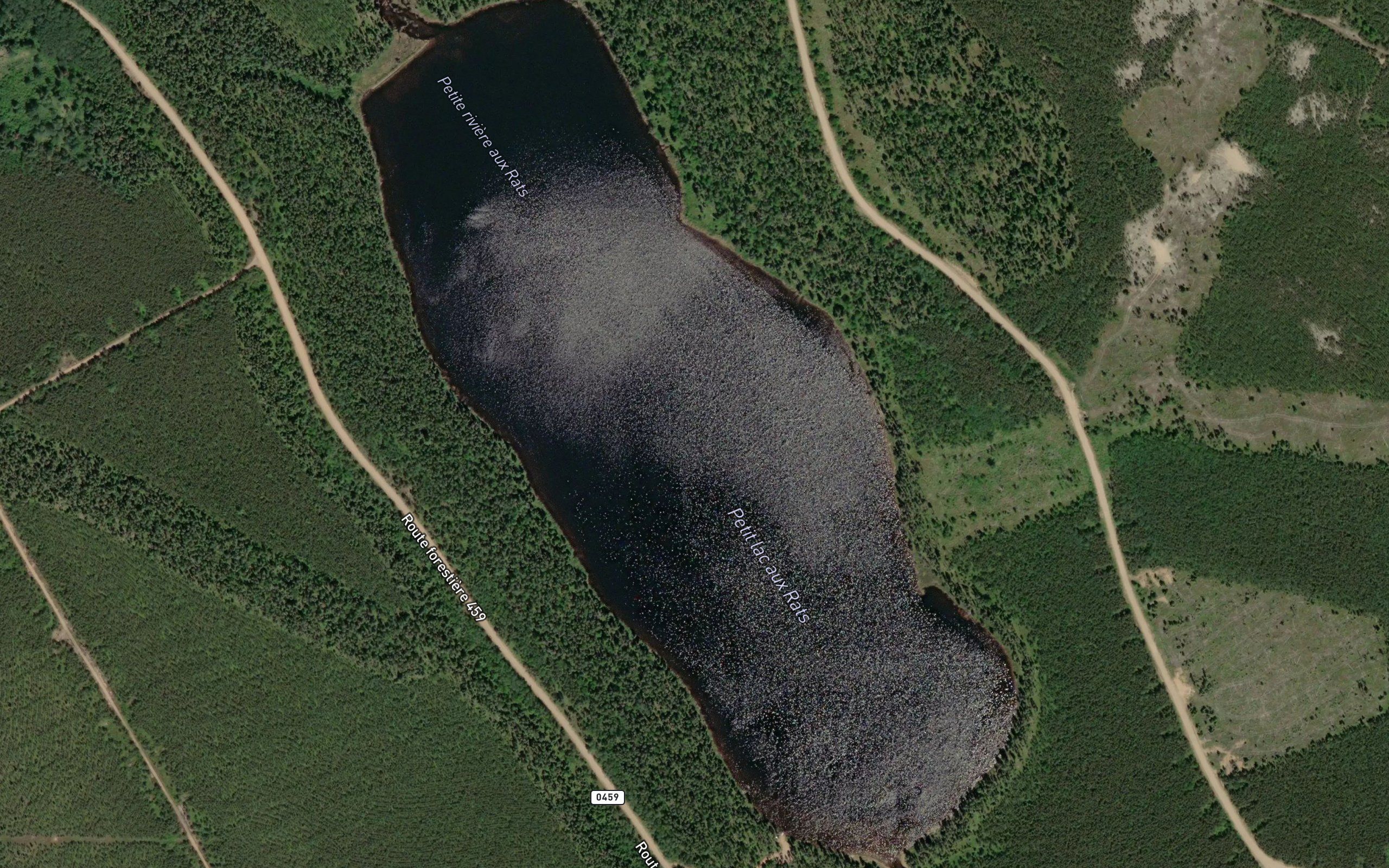 Petit lac aux Rats