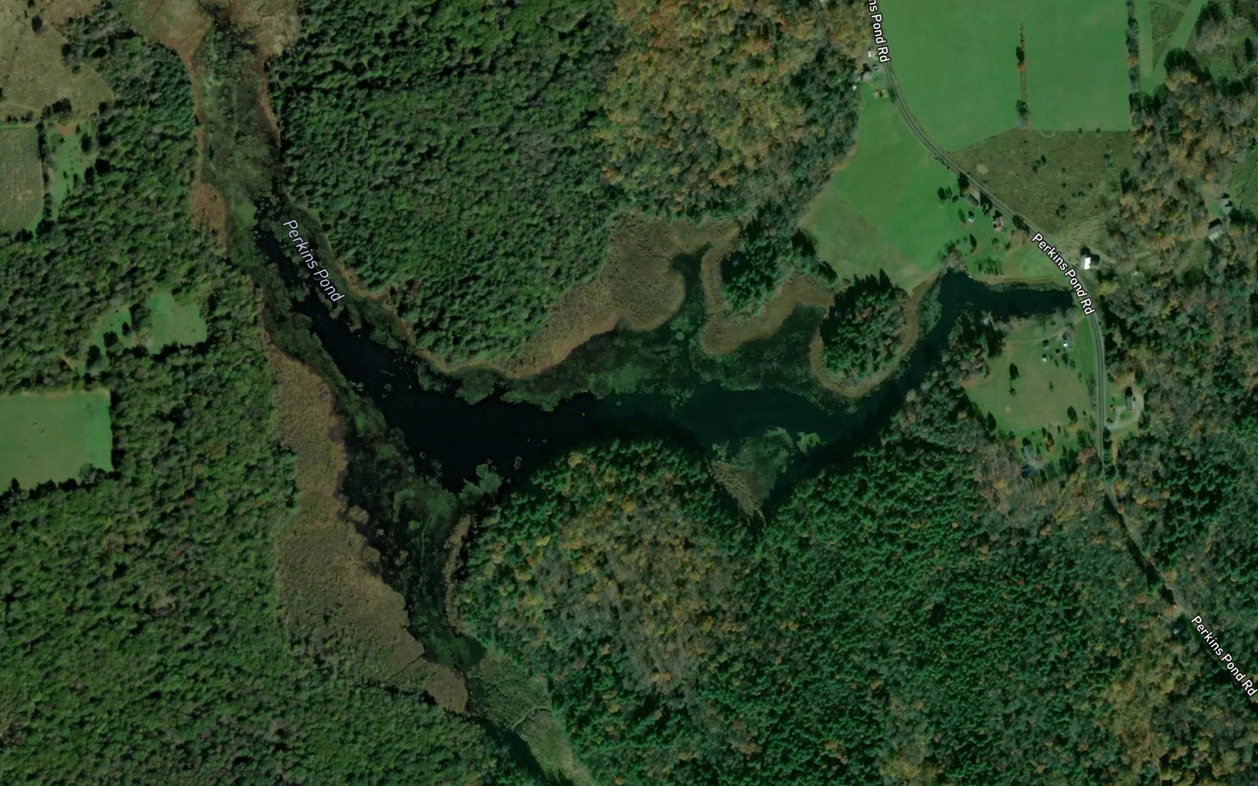 Perkins Pond