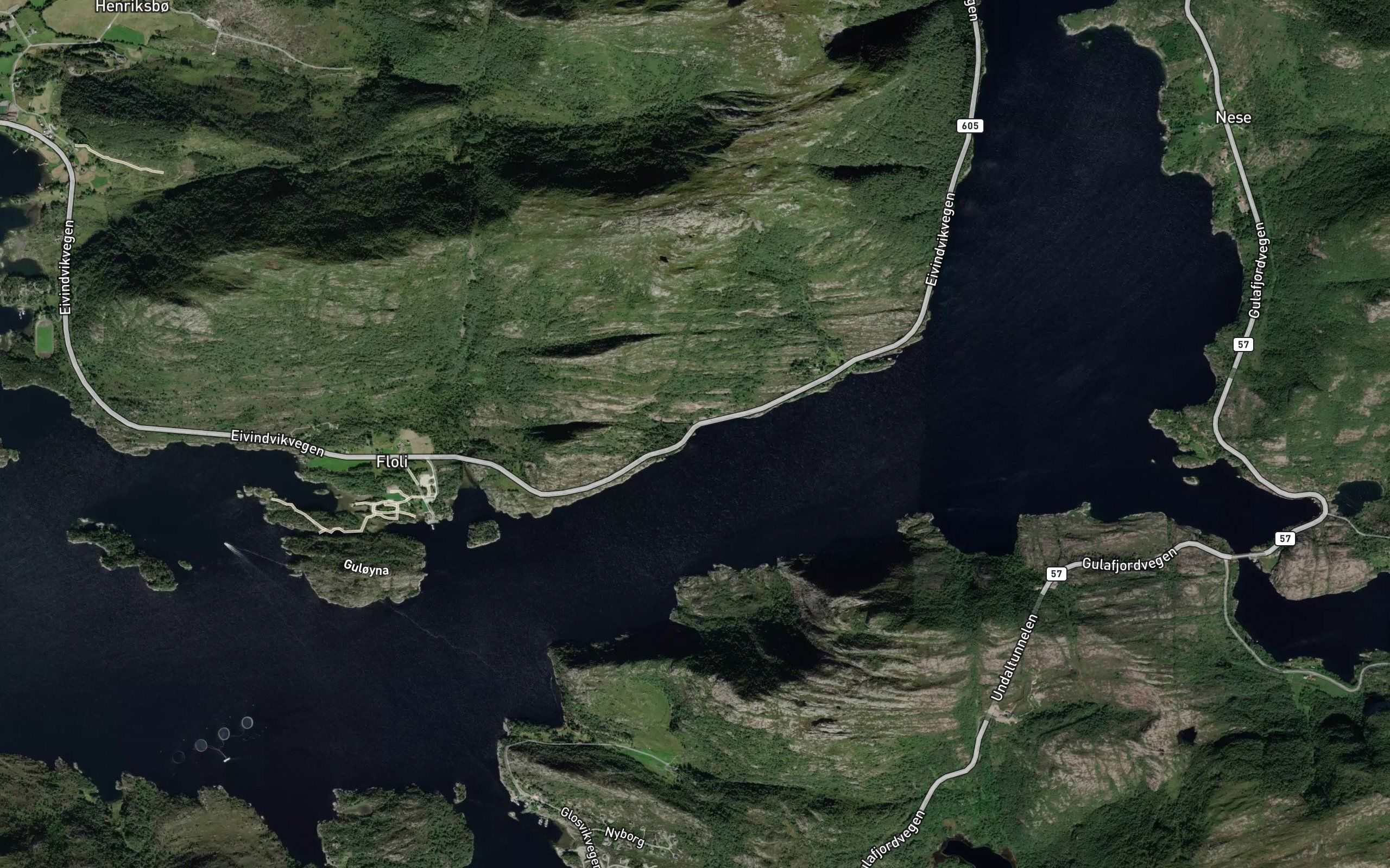 Skorevika