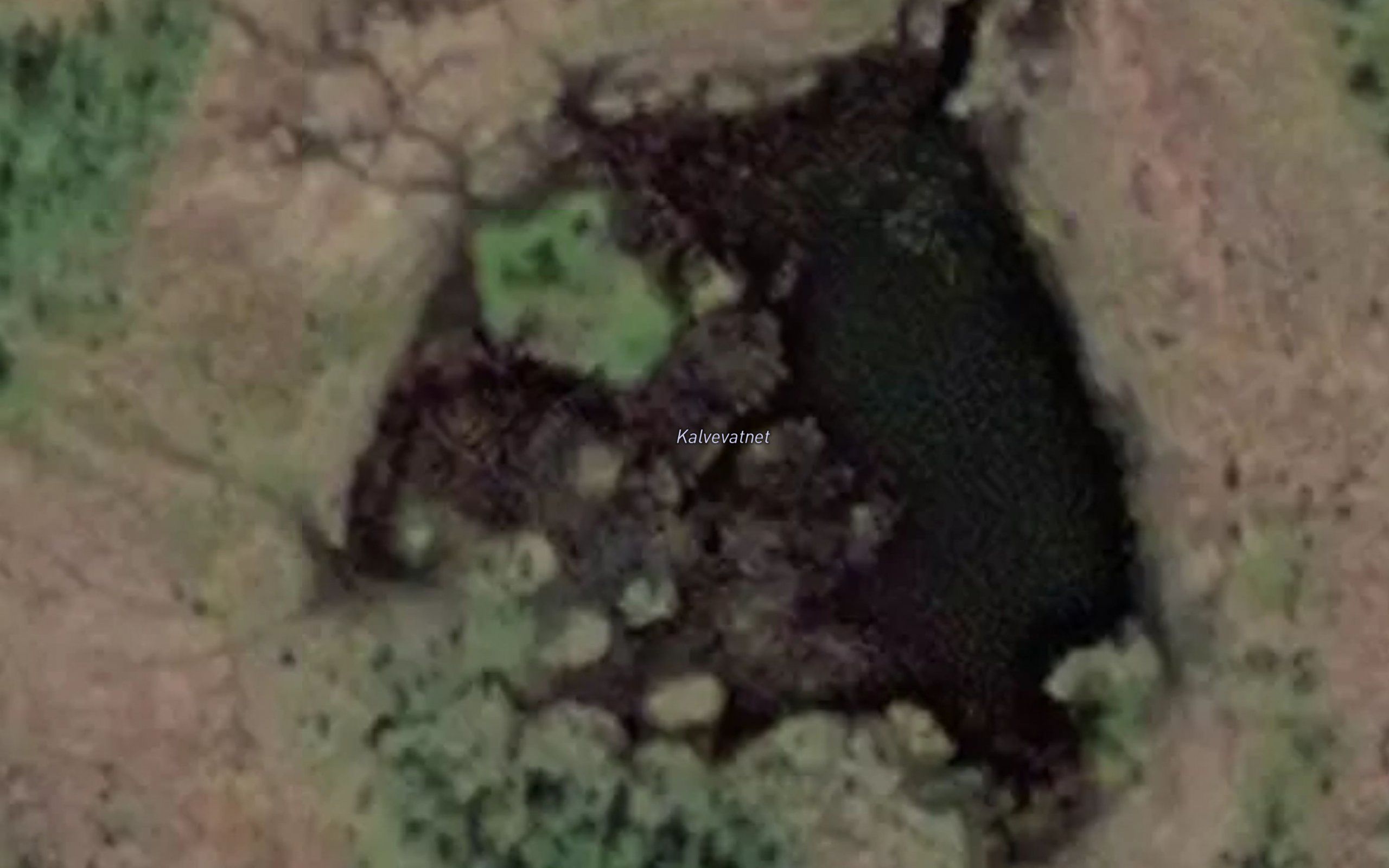Kalvevatnet