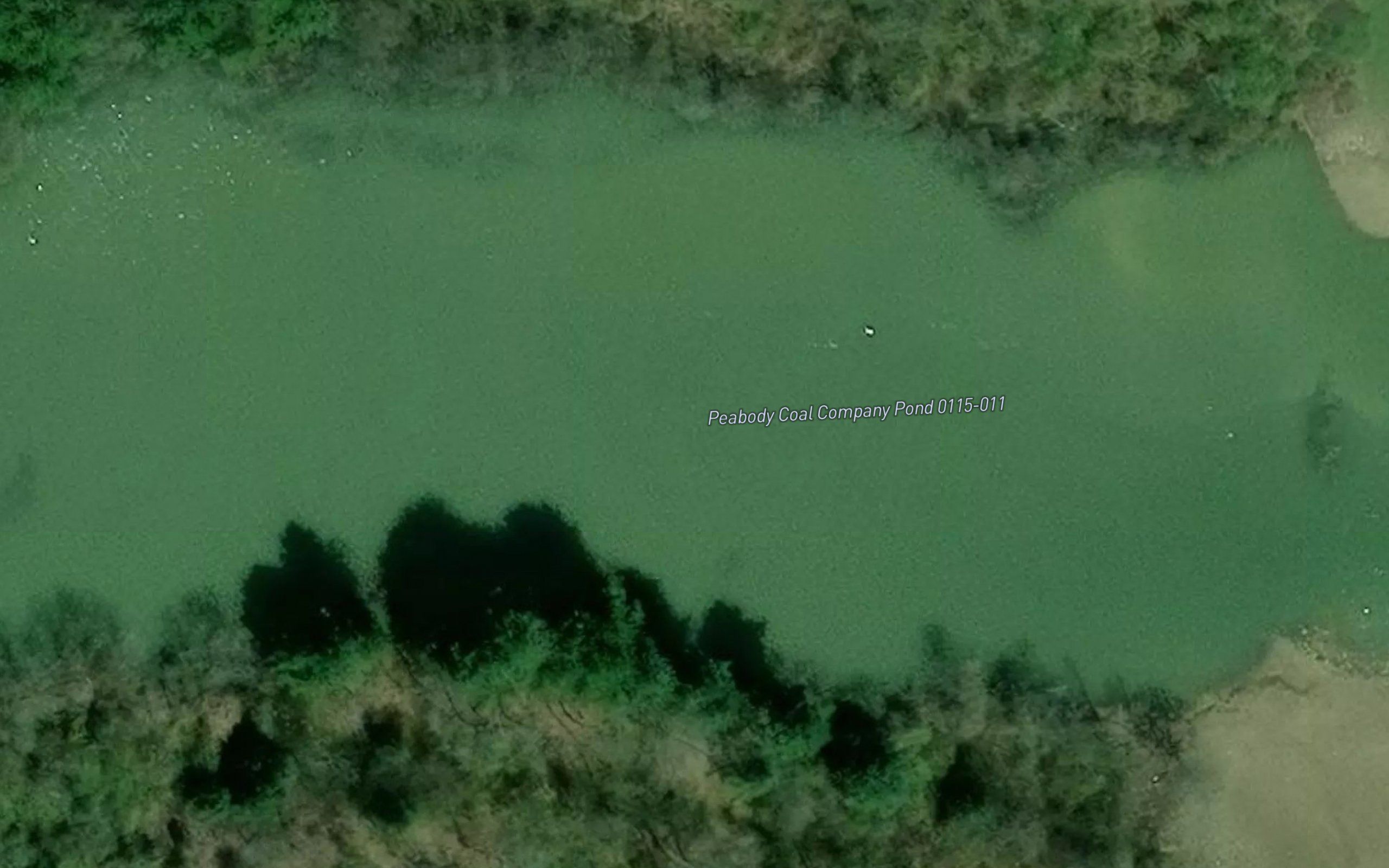 Peabody Coal Company Pond 0115-011