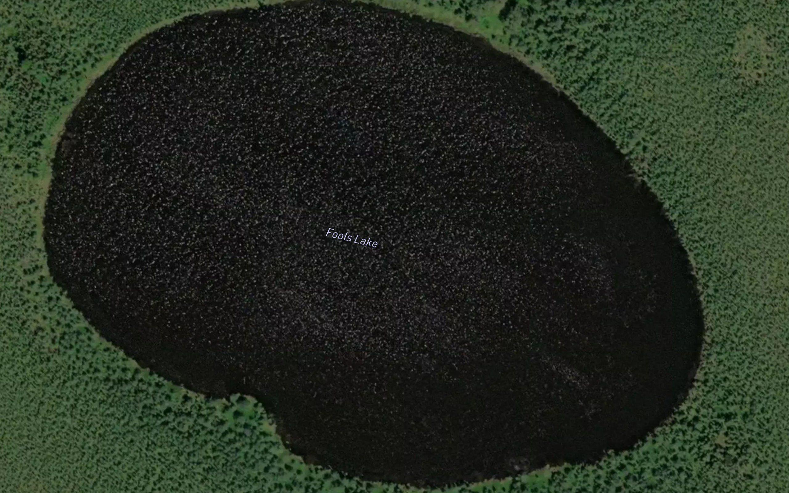 Fools Lake