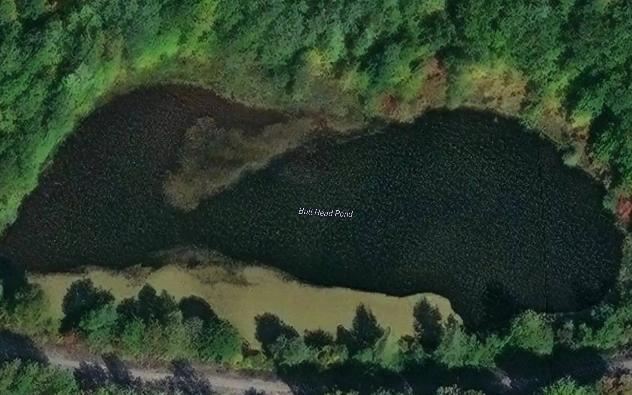 Bull Head Pond