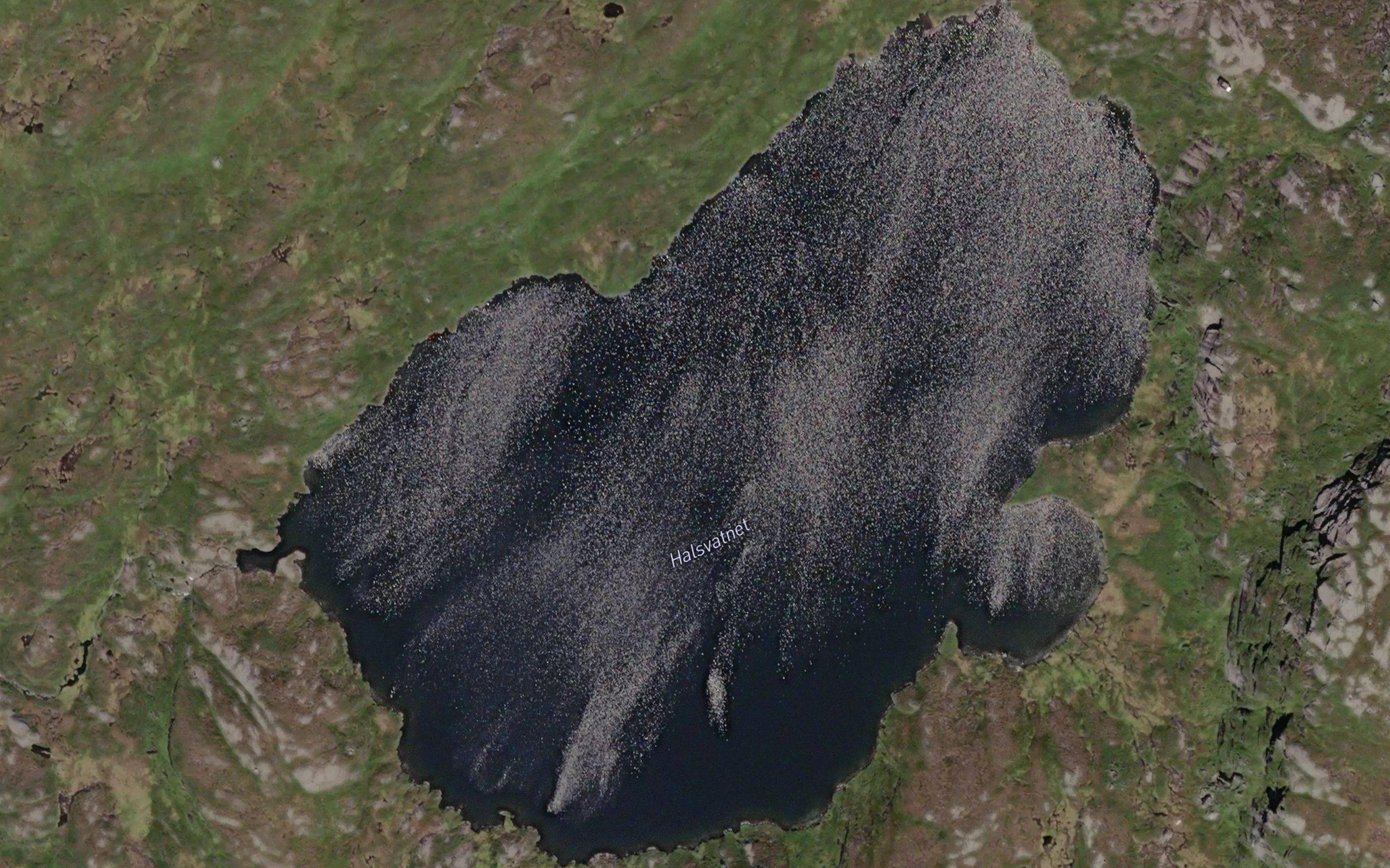Halsvatnet