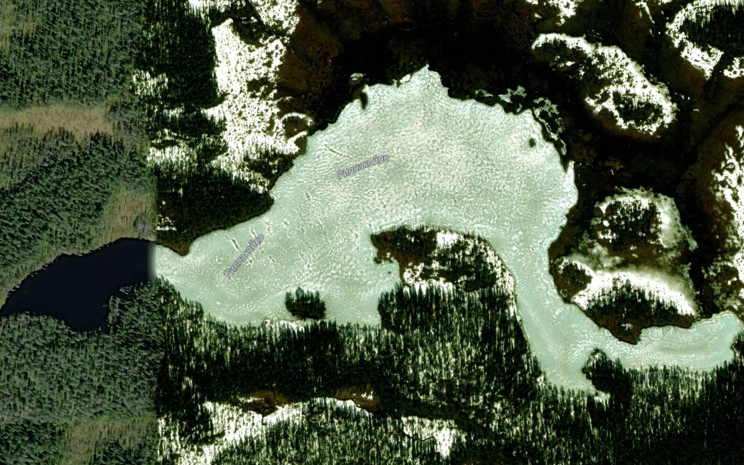Rippakonjaervi