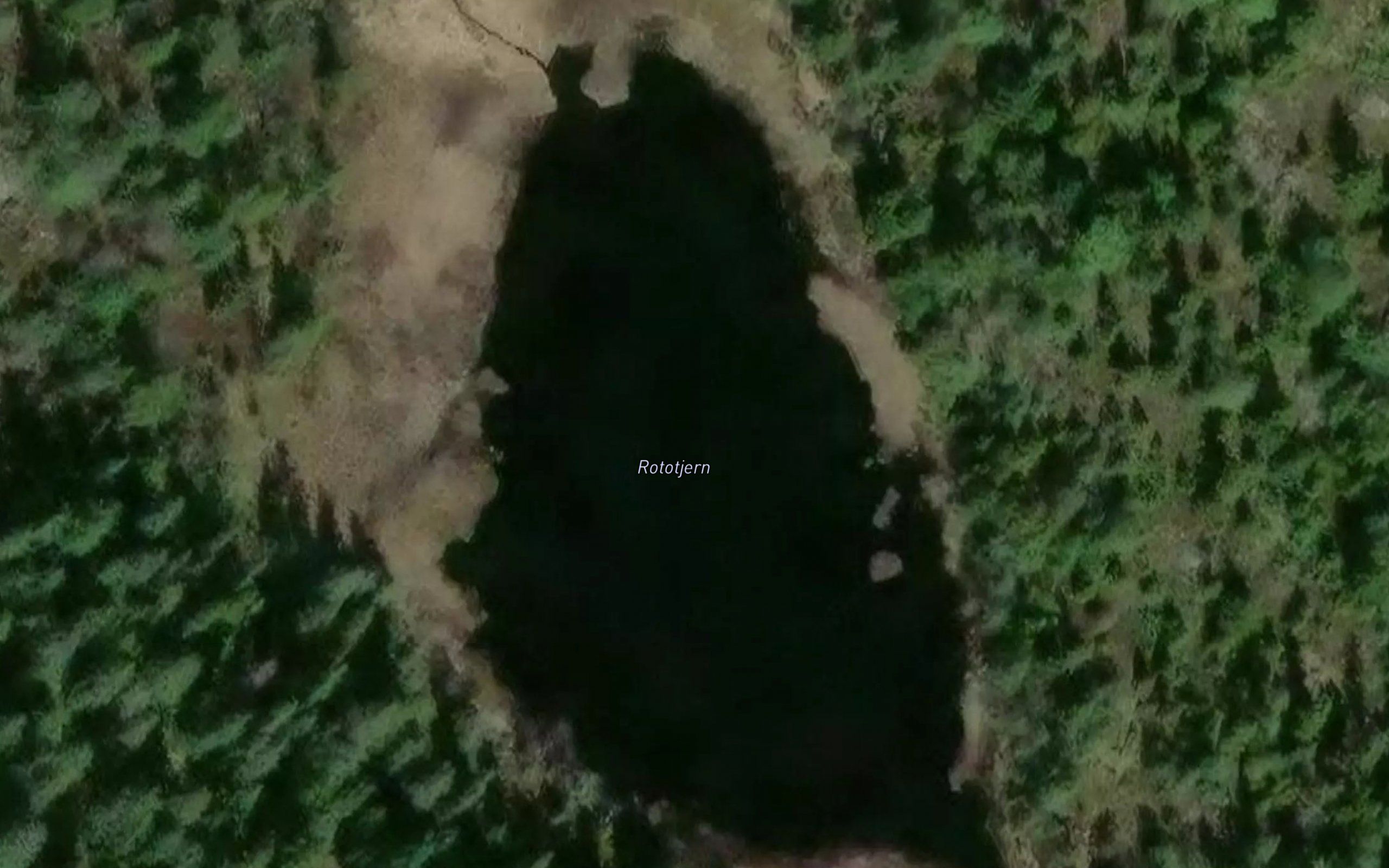 Rototjern