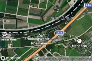 Alter Rhein Rheinauen Hohenems