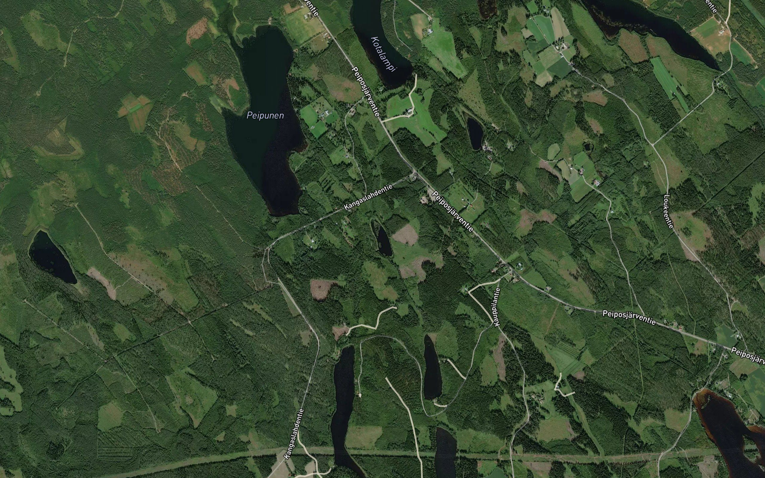 Kotilampi
