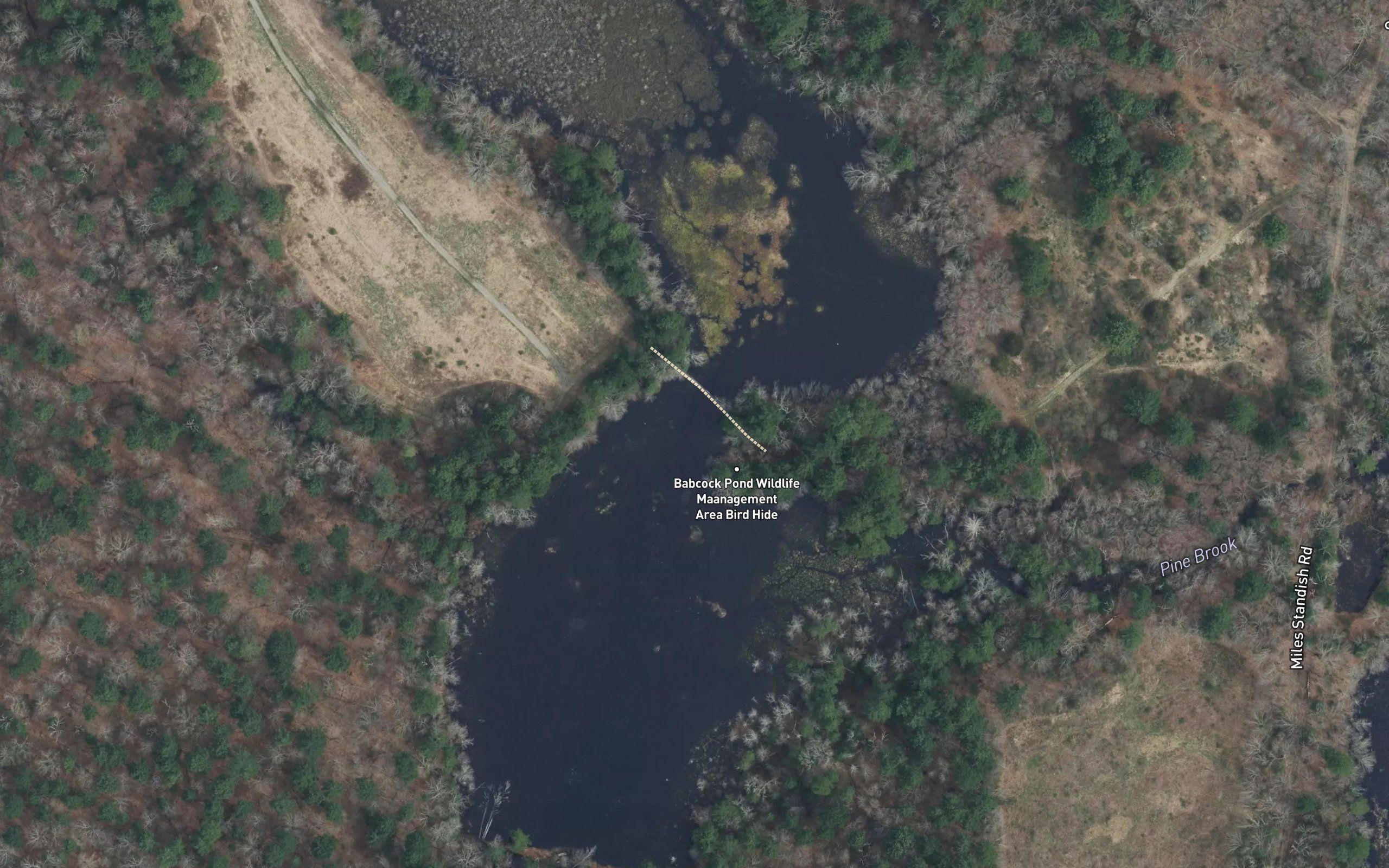 Standish Pond