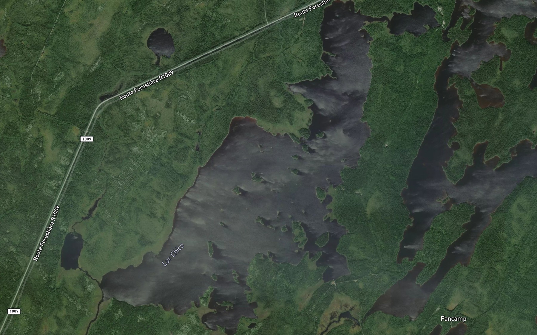 Satellite map of the Lac Chico