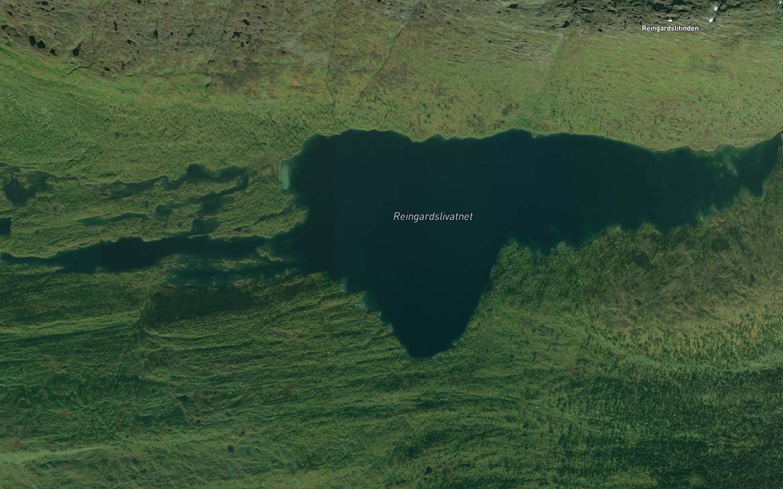 Reingardslivatnet