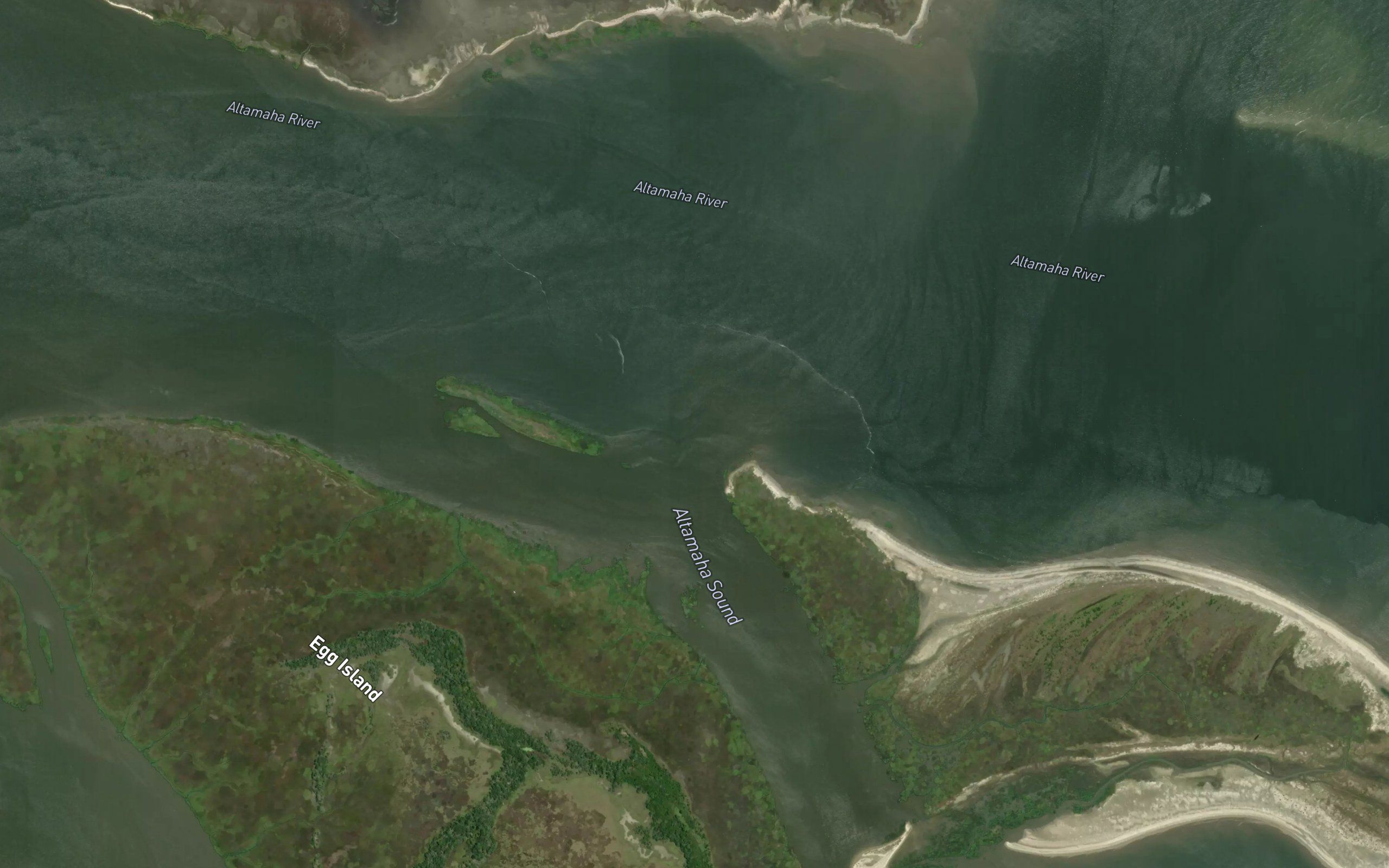 Altamaha River