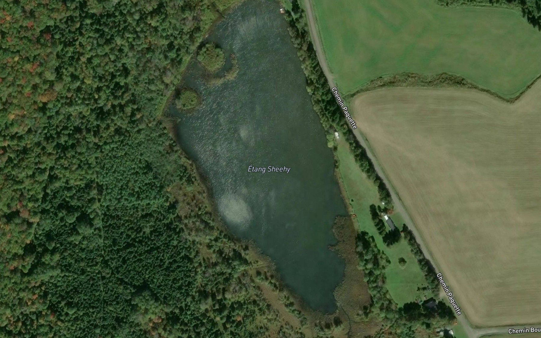 Satellite map of the Etang Sheehy