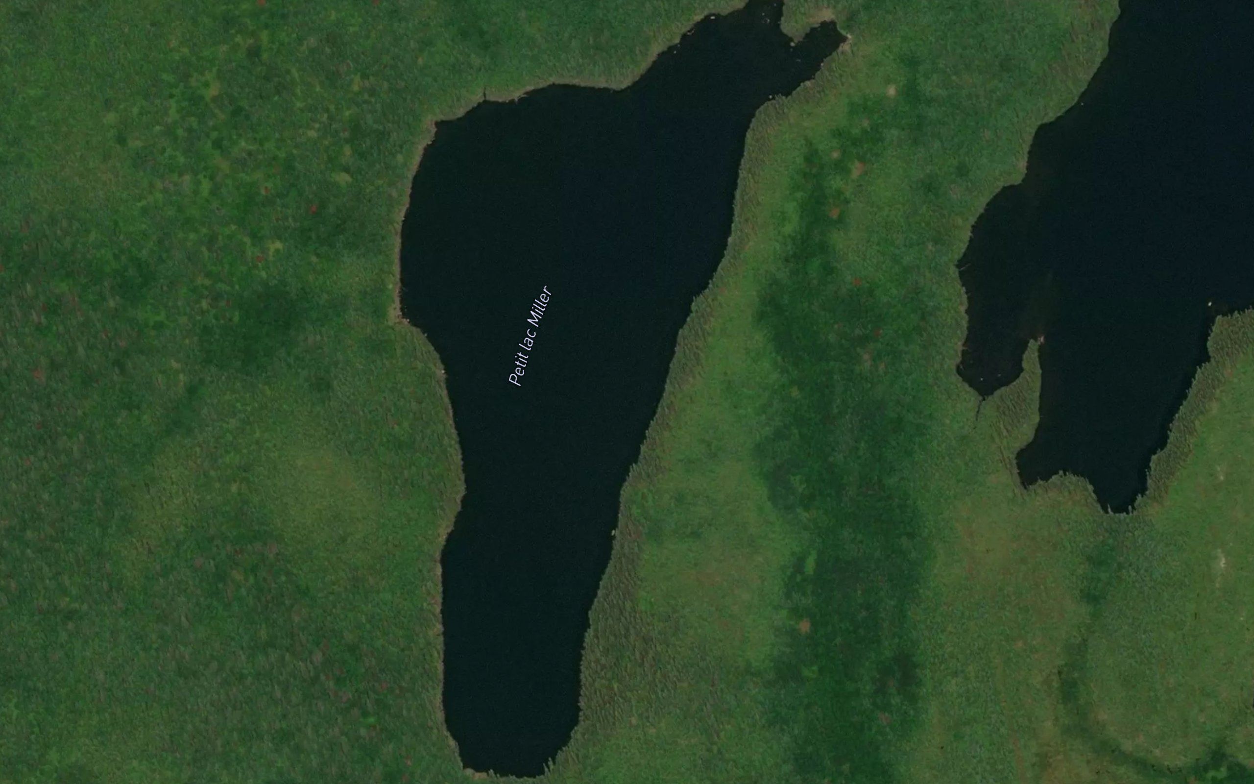Petit lac Miller