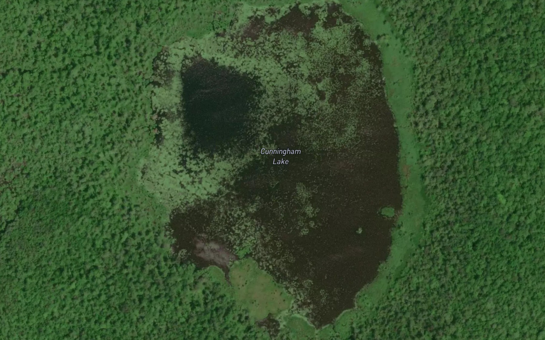Satellite map of the Cunningham Lake