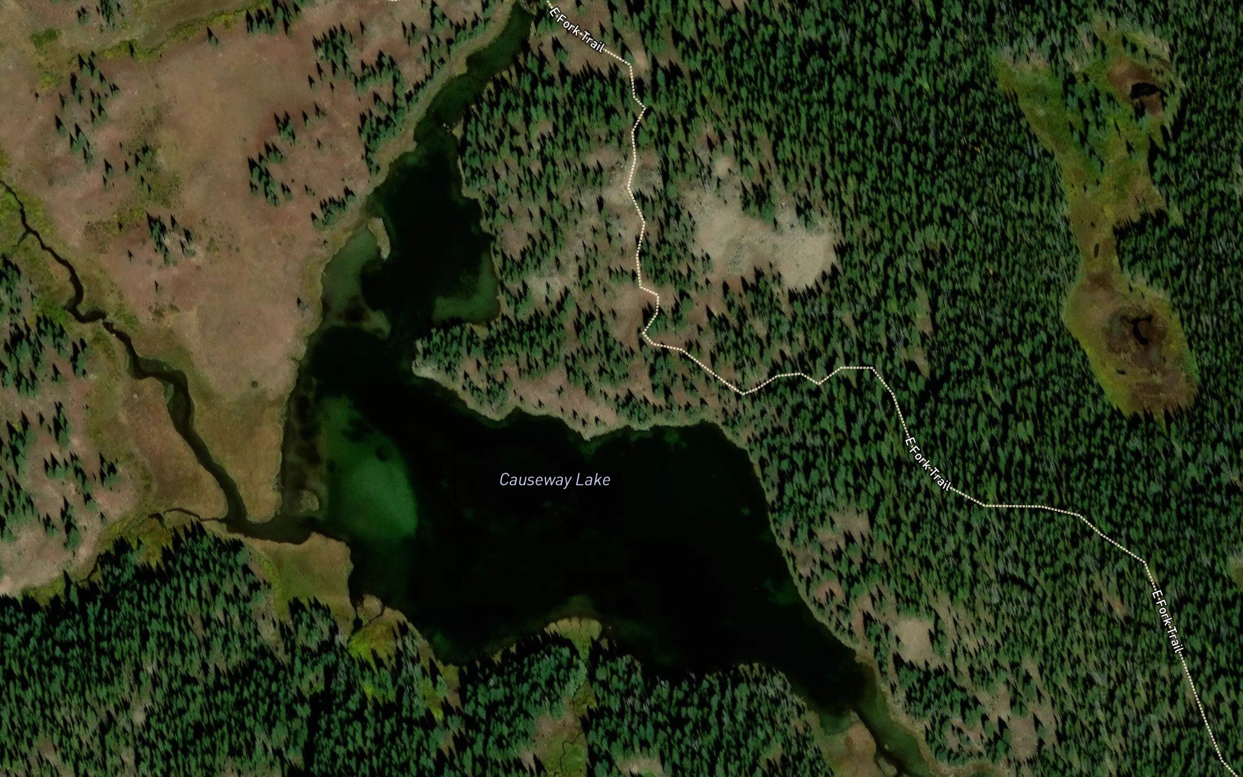 Causeway Lake