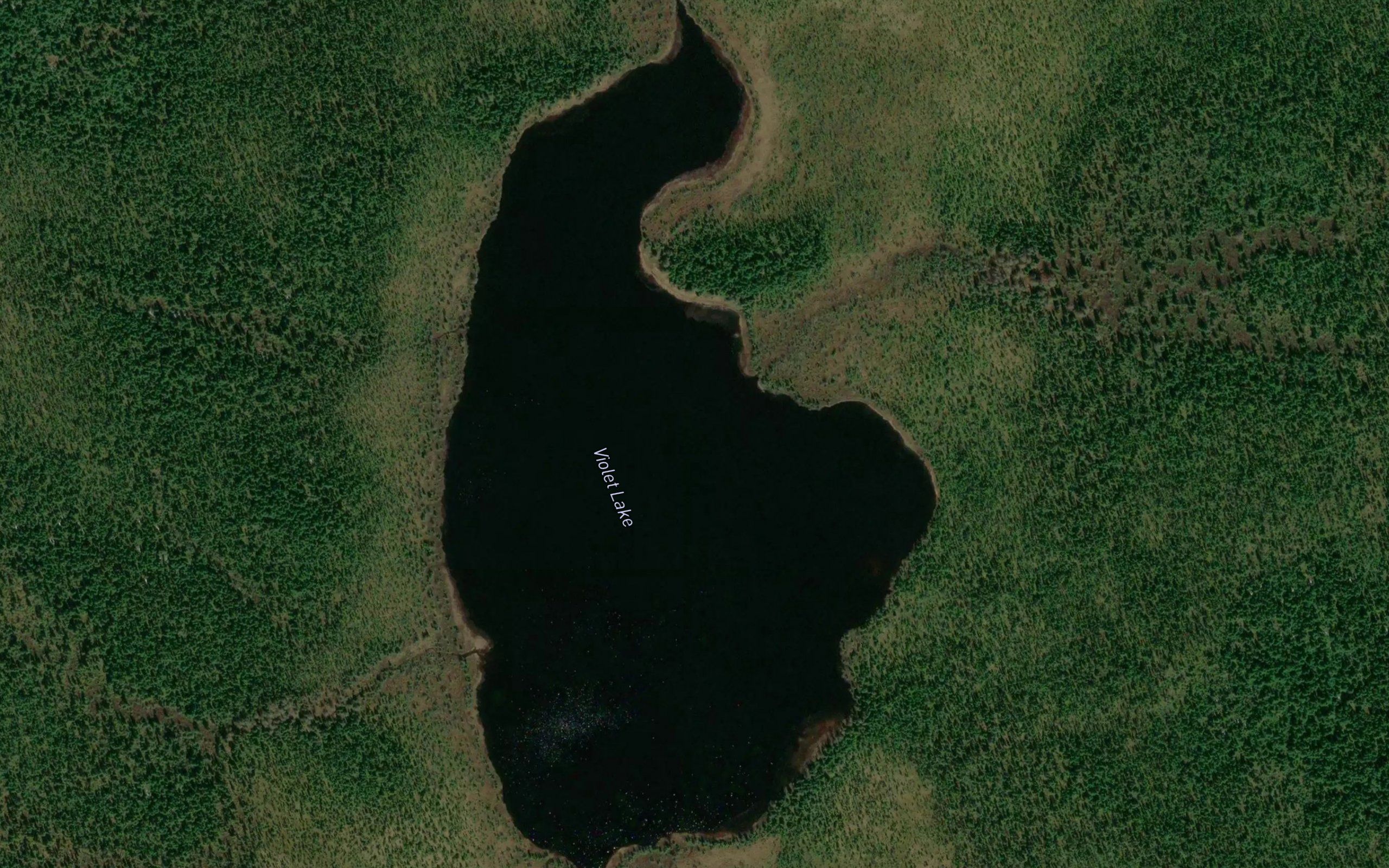 Violet Lake