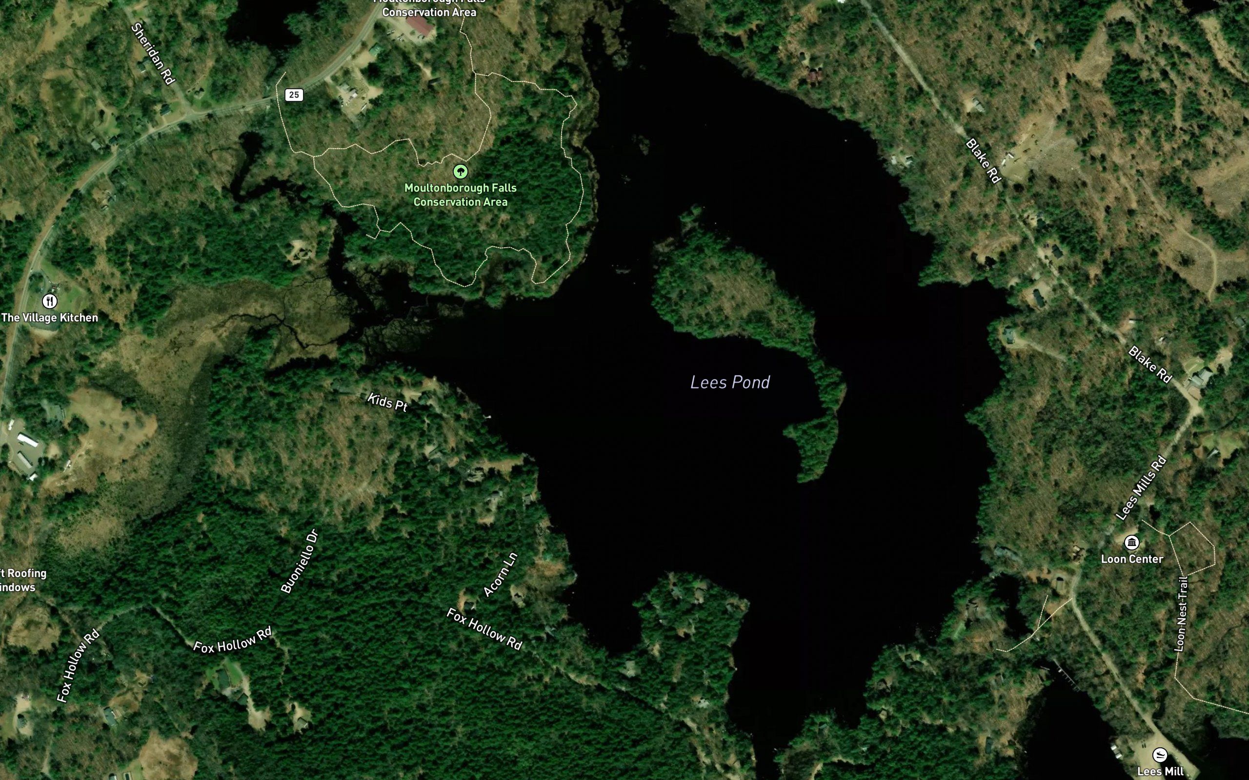 Lees Pond
