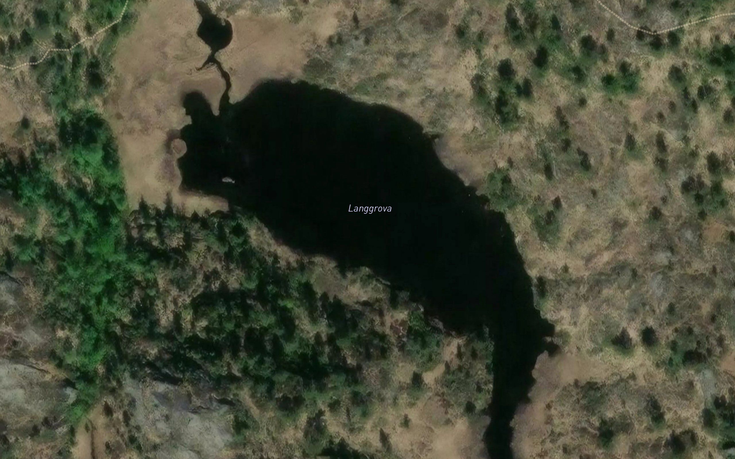 Langgrovi