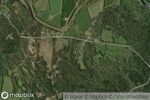 Sims Spring Branch
