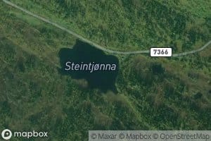Steintjorna