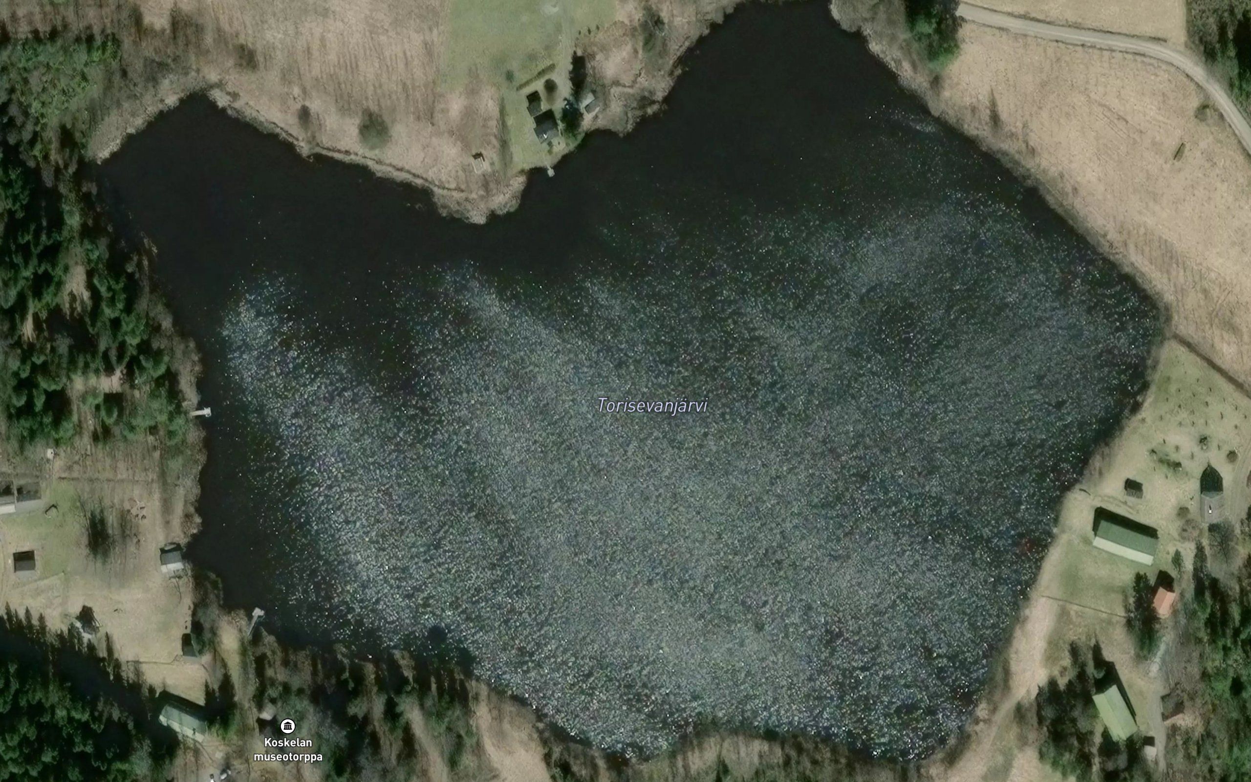 Torisevanjarvi