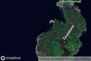 Makrellvagen