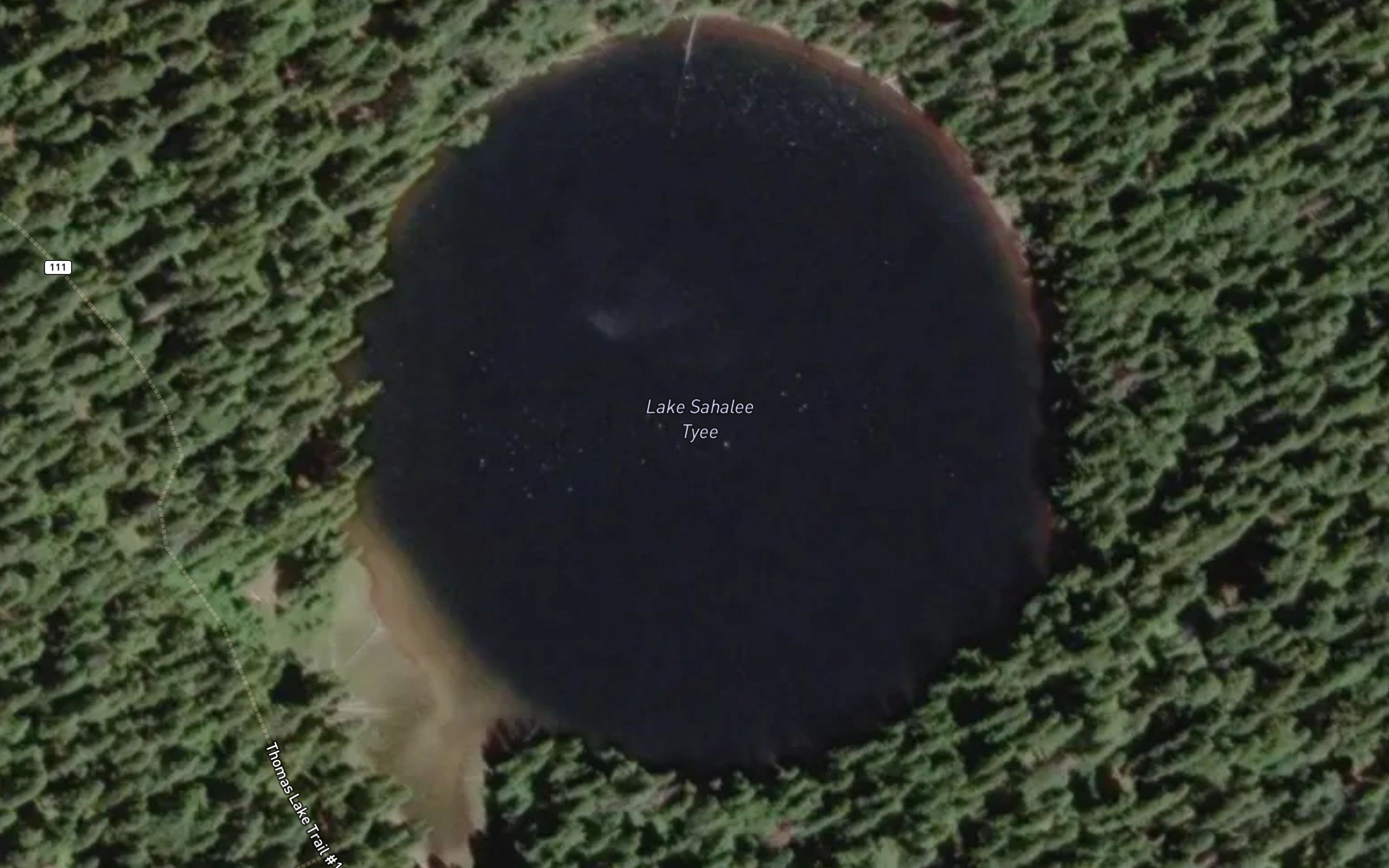 Lake Sahalee Tyee