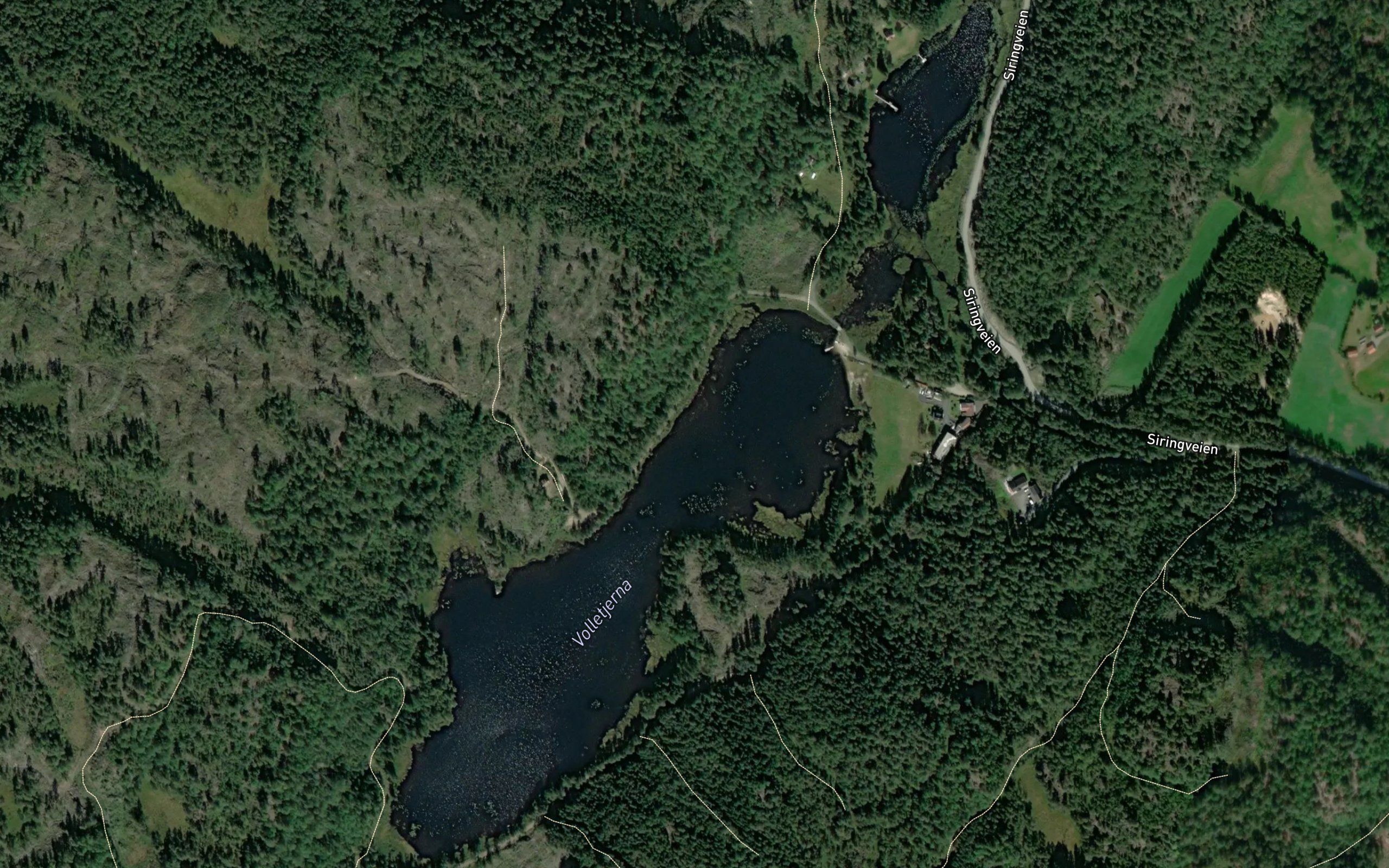 Volletjerna