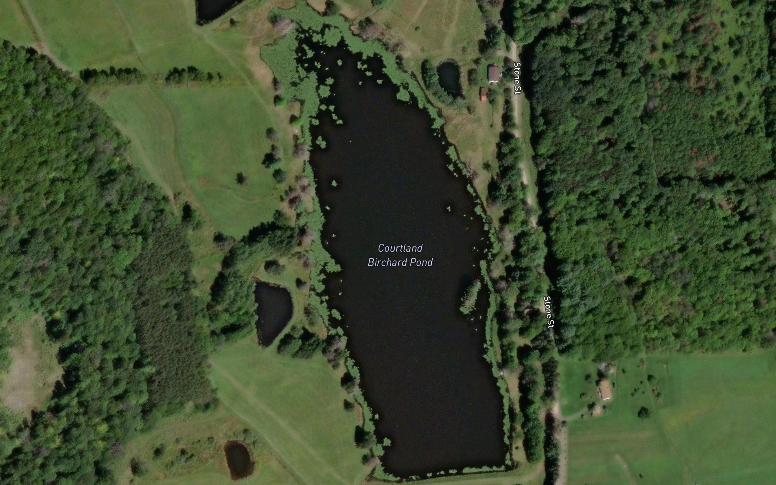 Courtland Birchard Pond