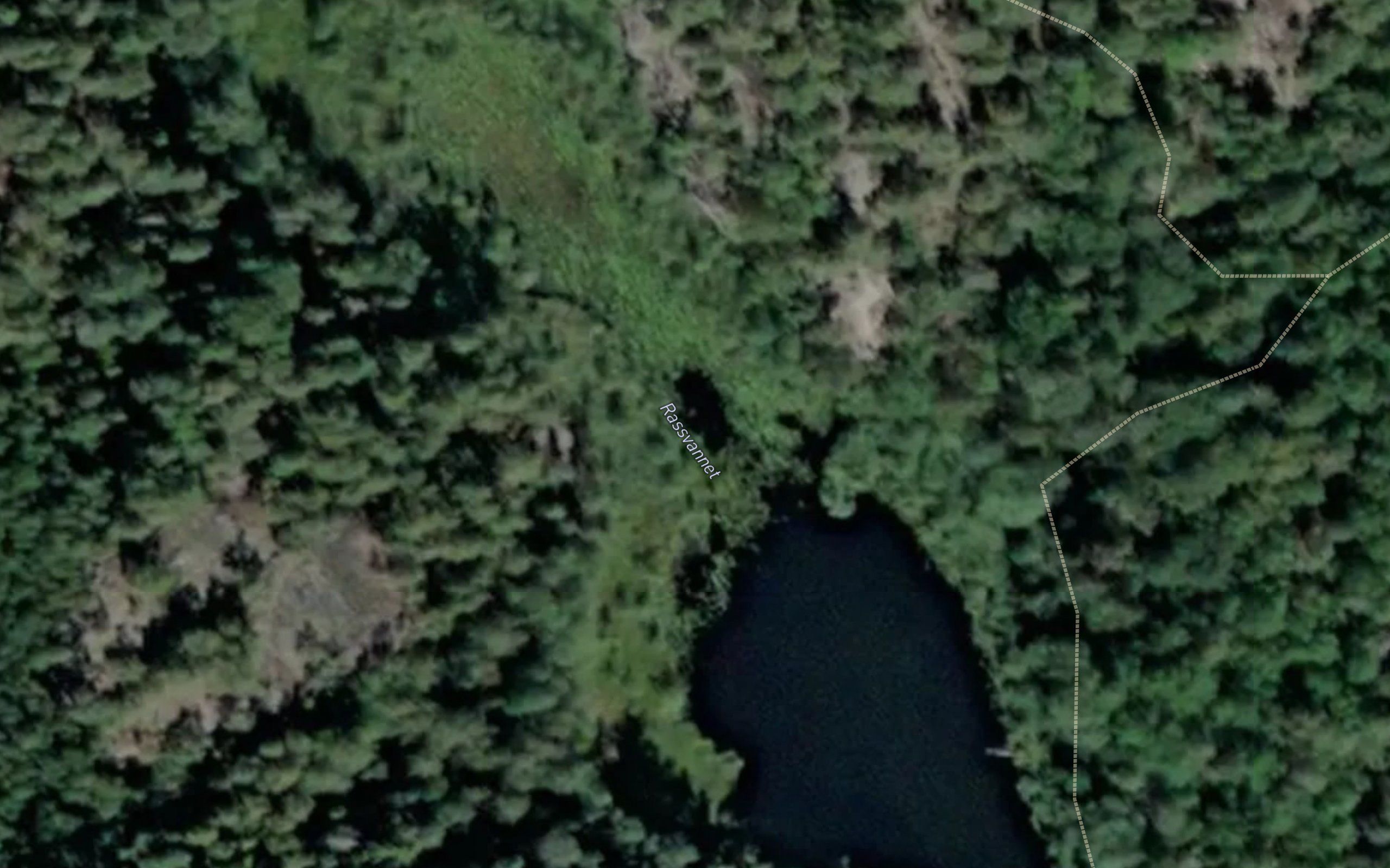 Rassvannet