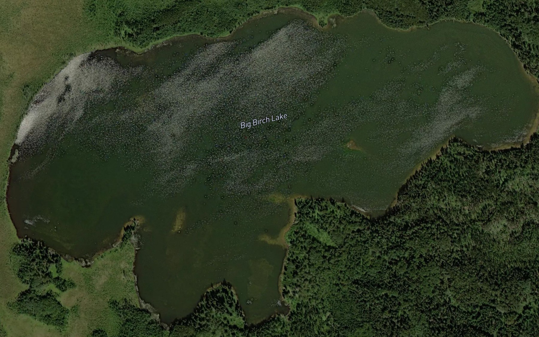 Satellite map of the Big Birch Lake