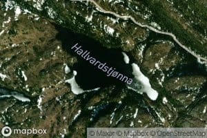 Halvardstjorna