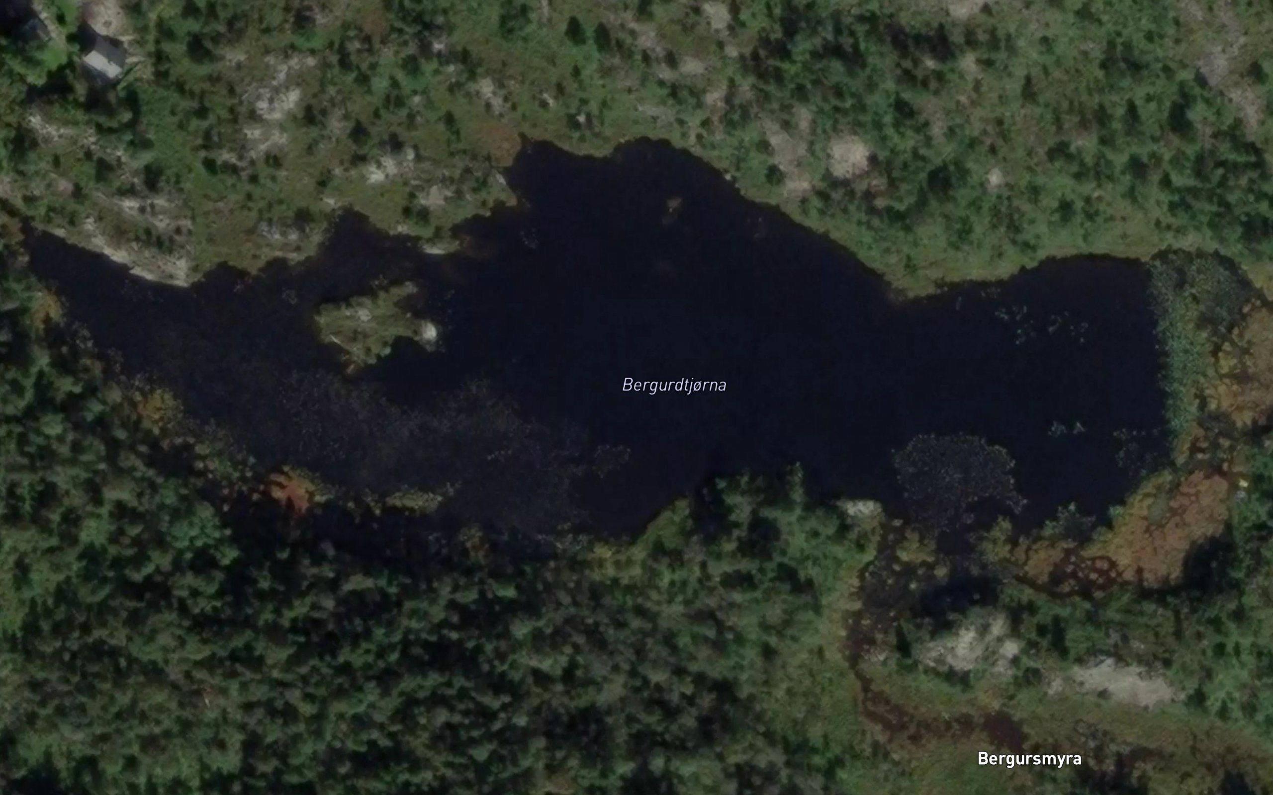 Bergurdtjorna
