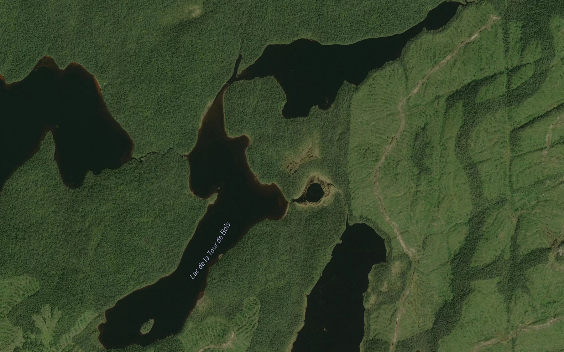 Satellite map of the Lac de la Tour de Bois