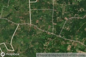 Wewa Kivula Number Seven