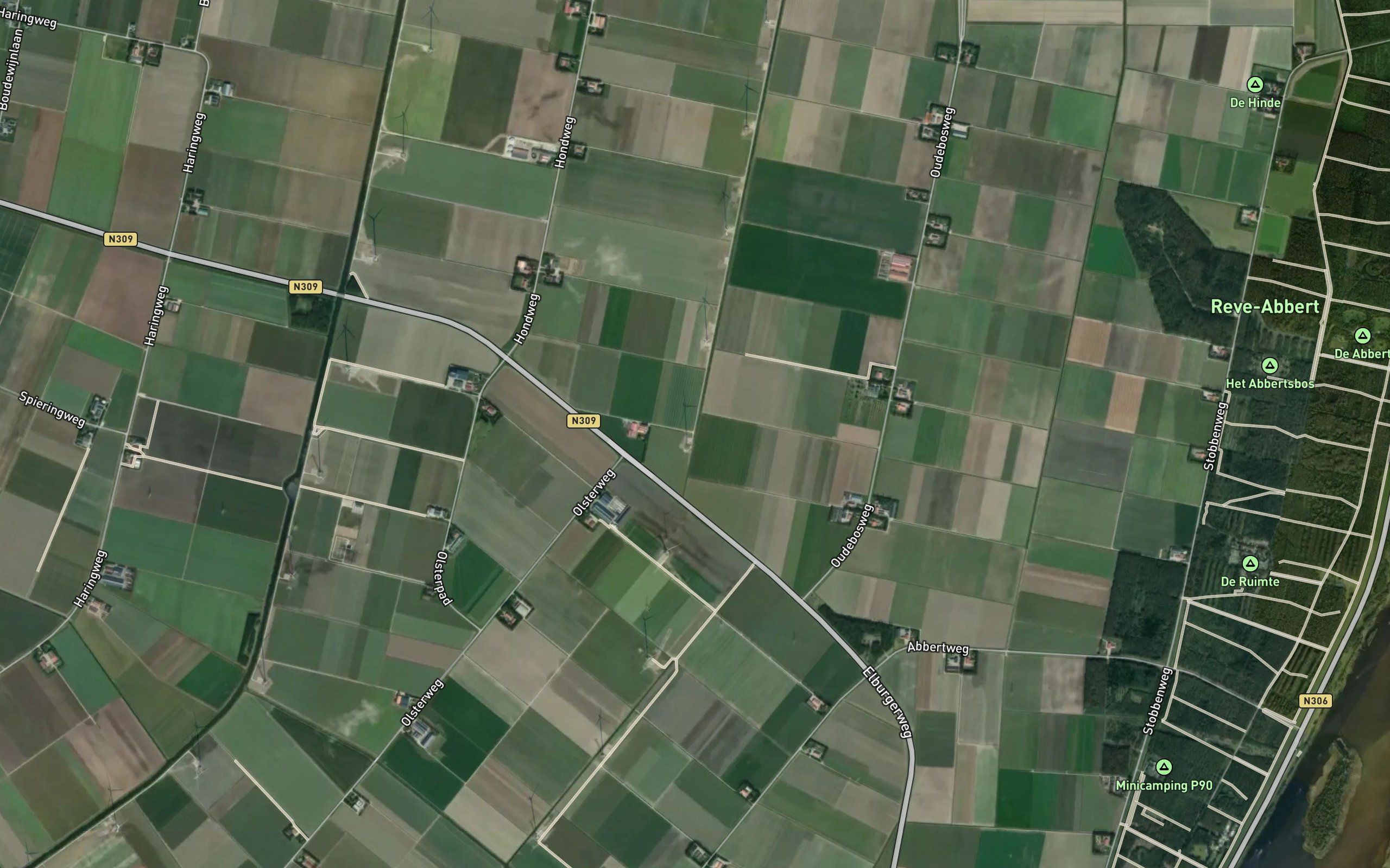 Hondtocht