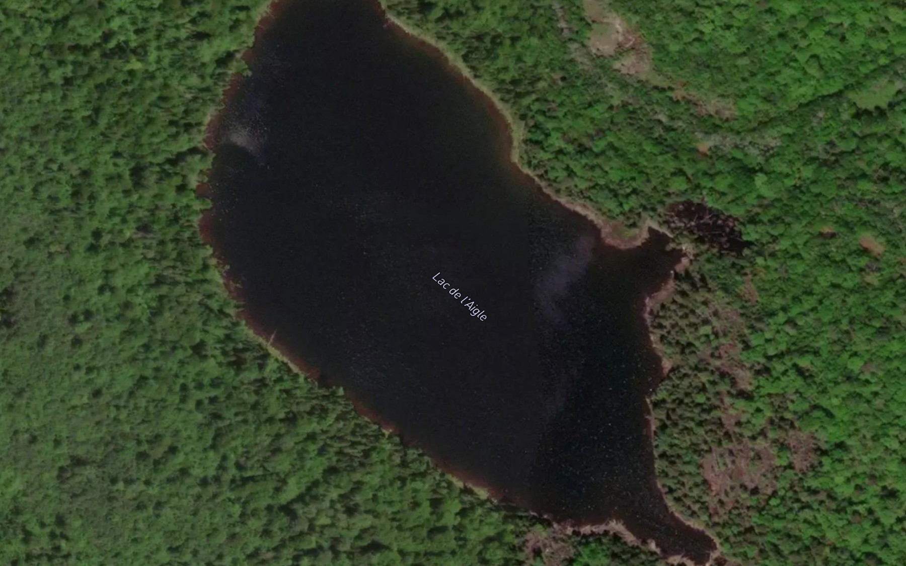 Satellite map of the Lac de l'Aigle
