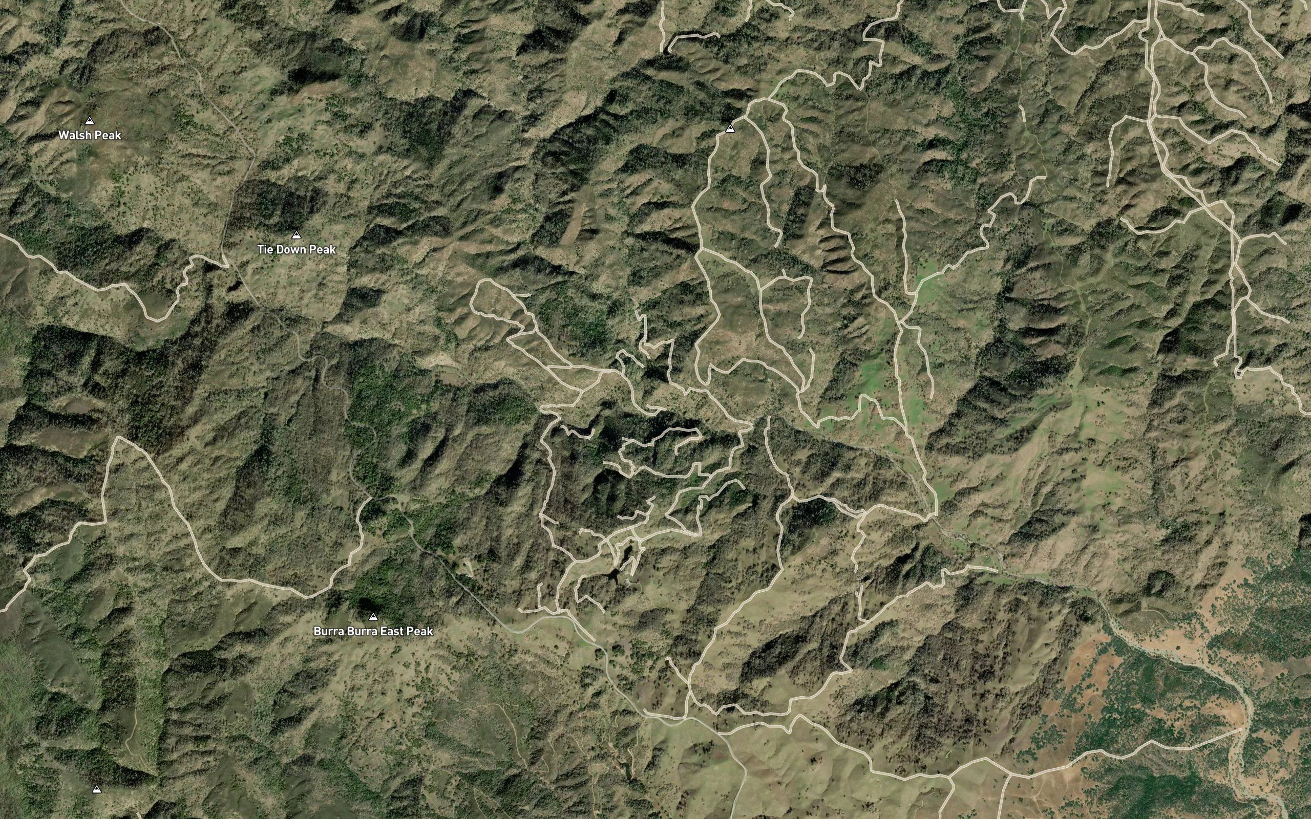 Coon Creek
