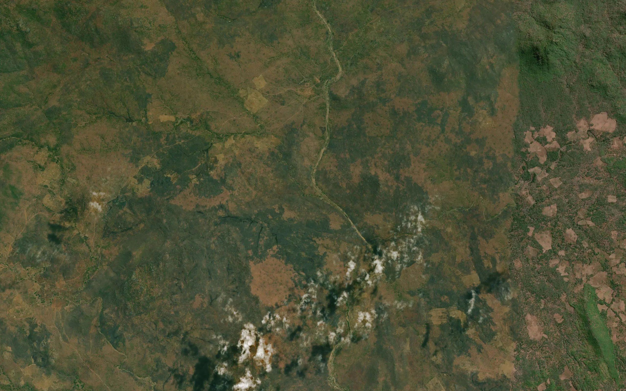 Camijo