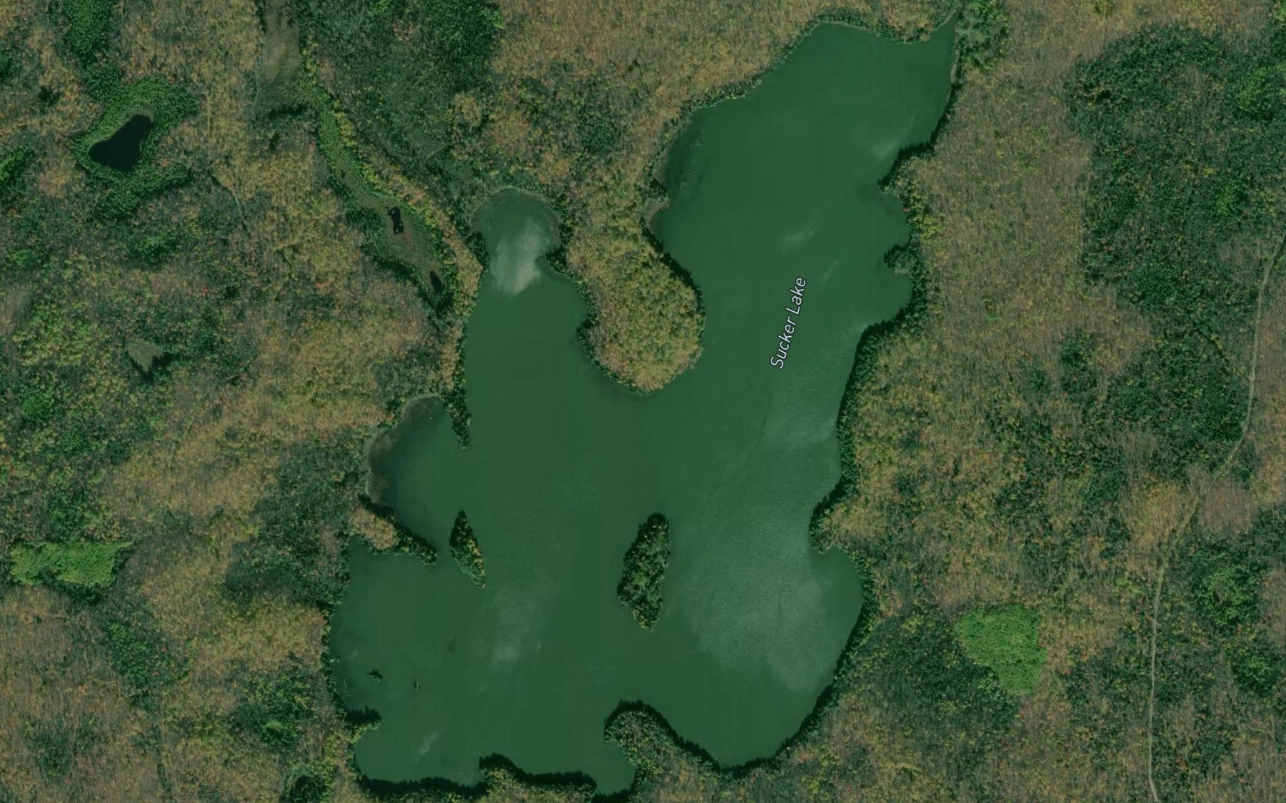 Satellite map of the Sucker Lake