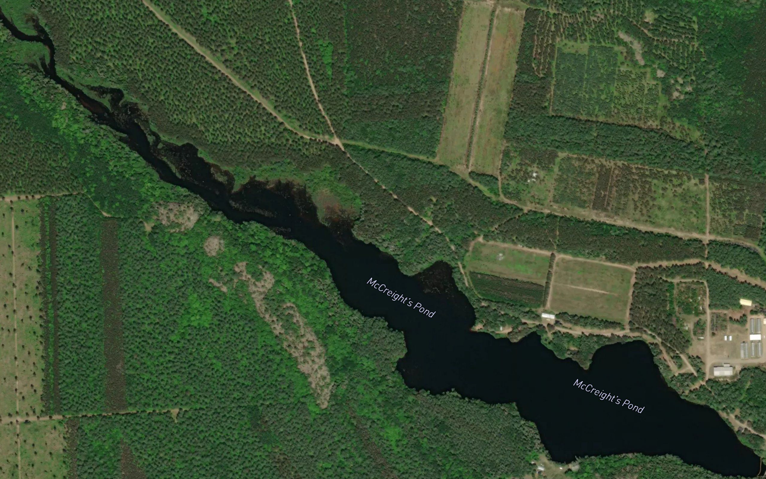 McCreight's Pond