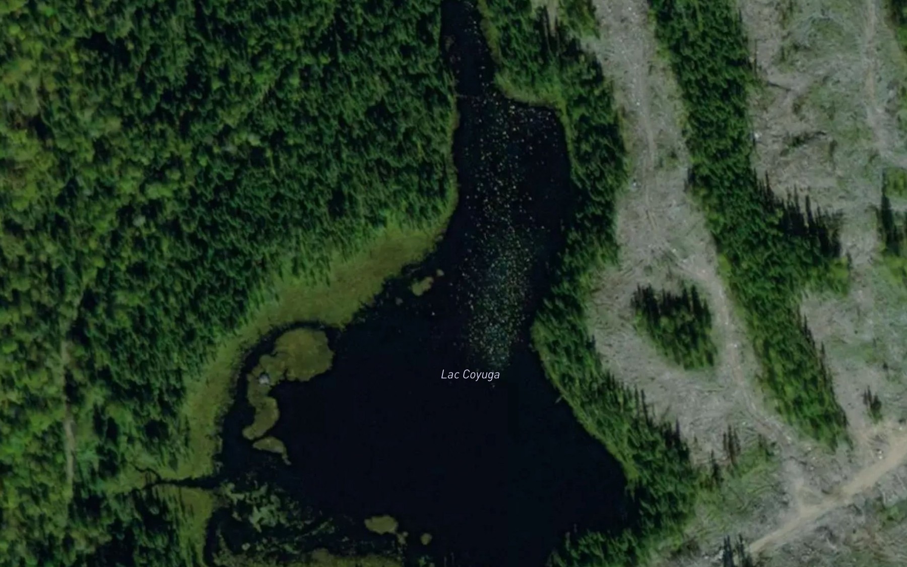 Satellite map of the Lac Coyuga