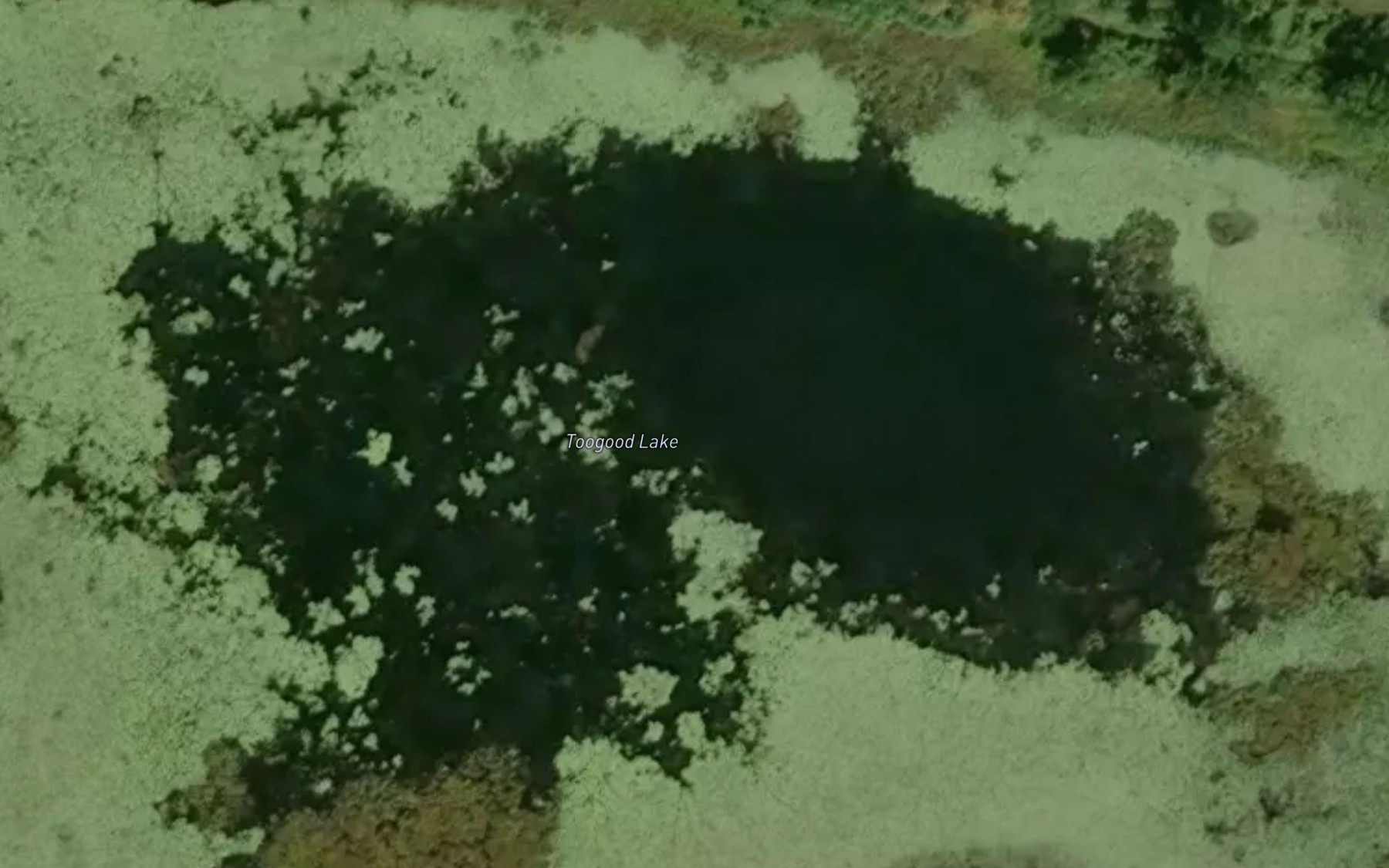 Satellite map of the Toogood Lake