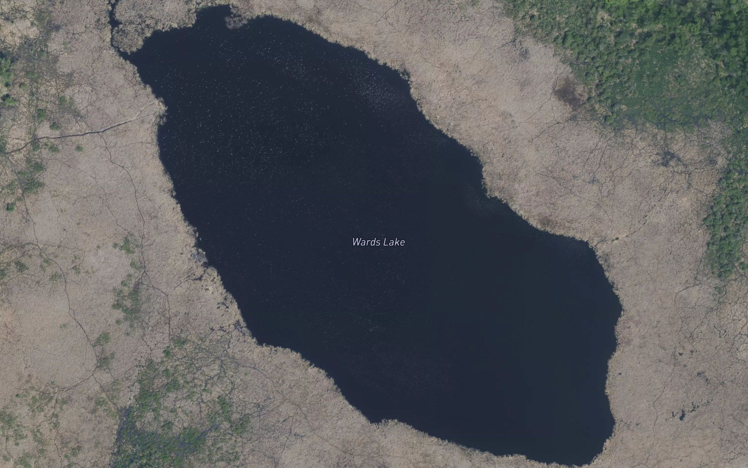 Wards Lake