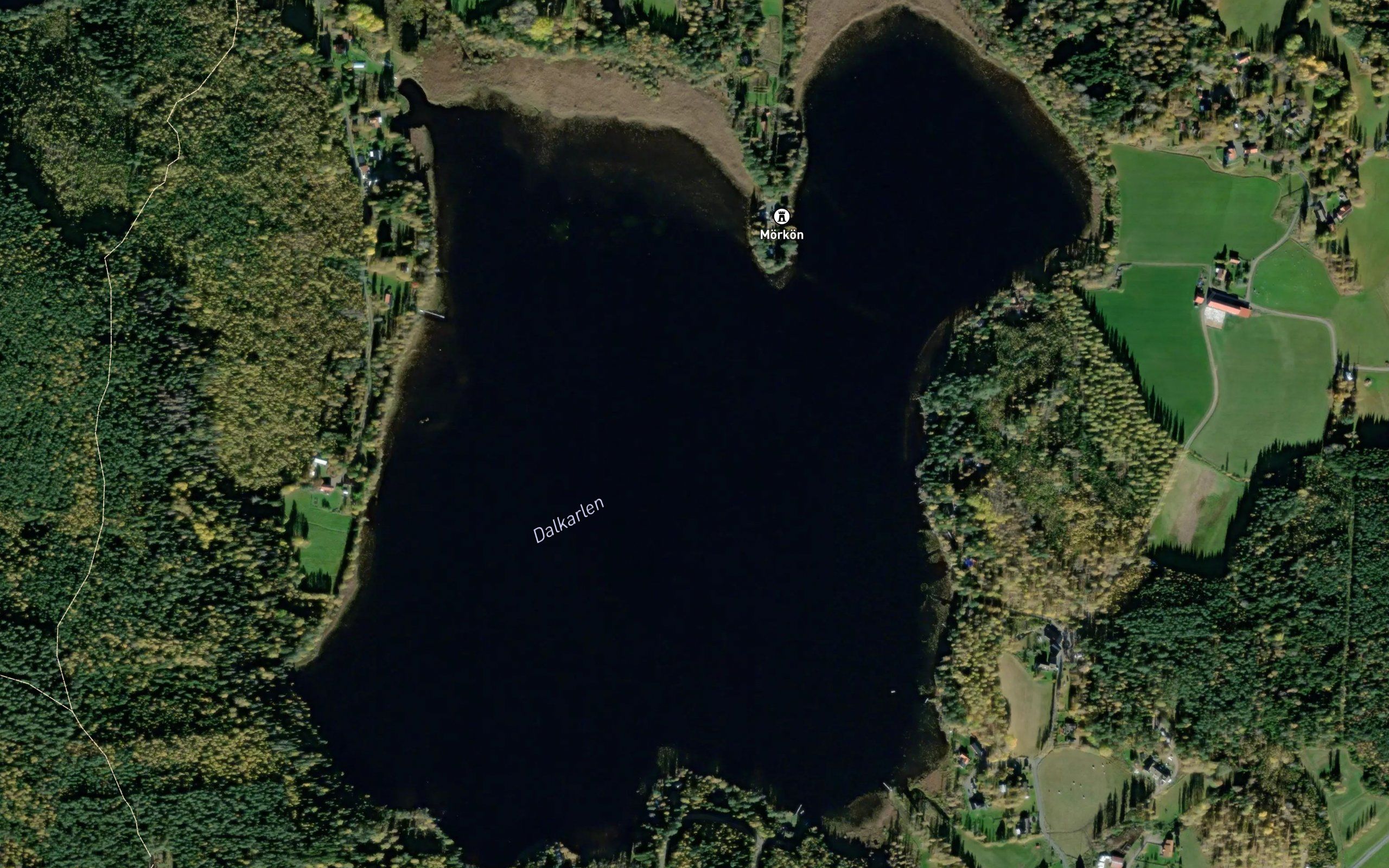 Dalkarlen