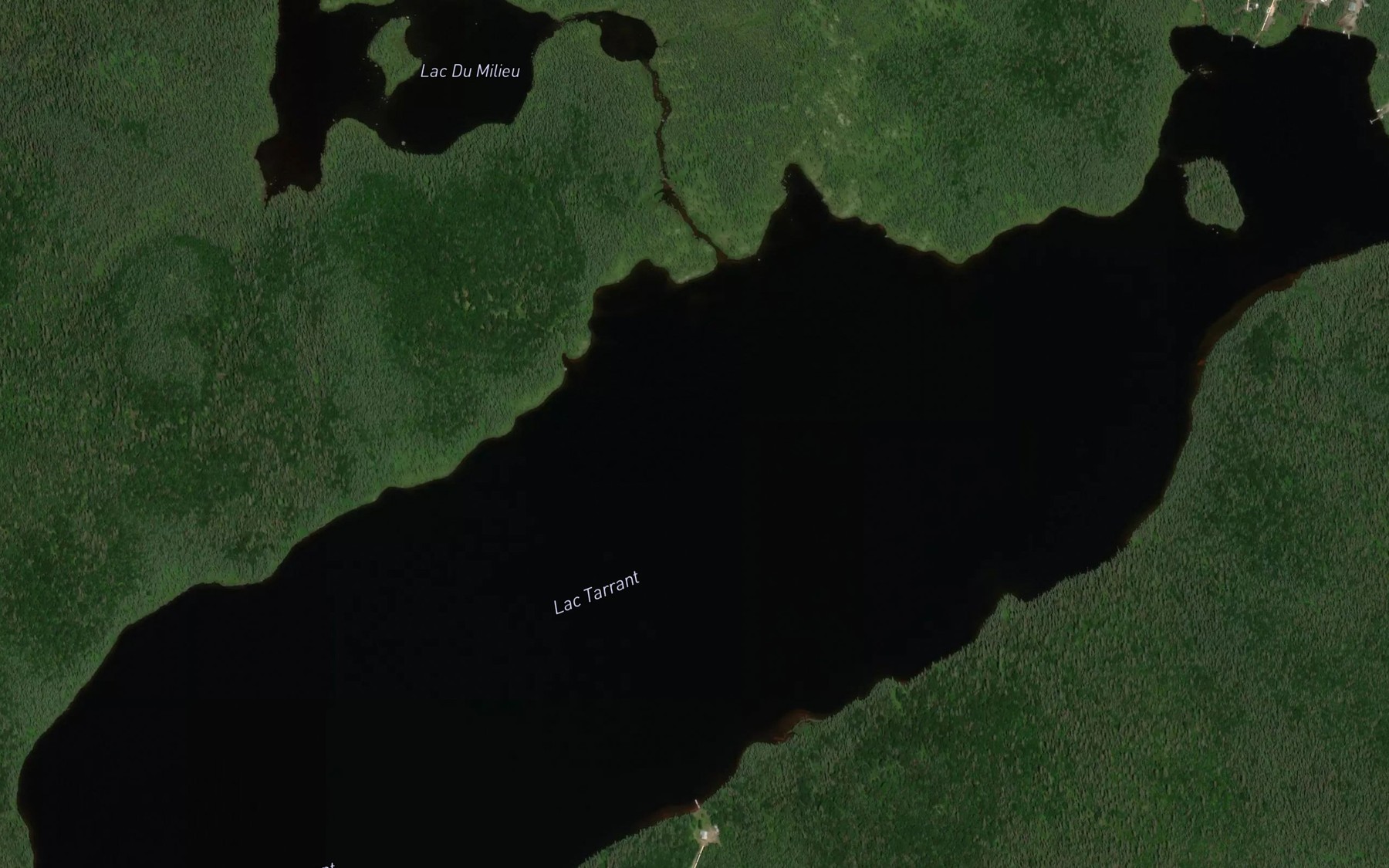 Satellite map of the Lac Tarrant