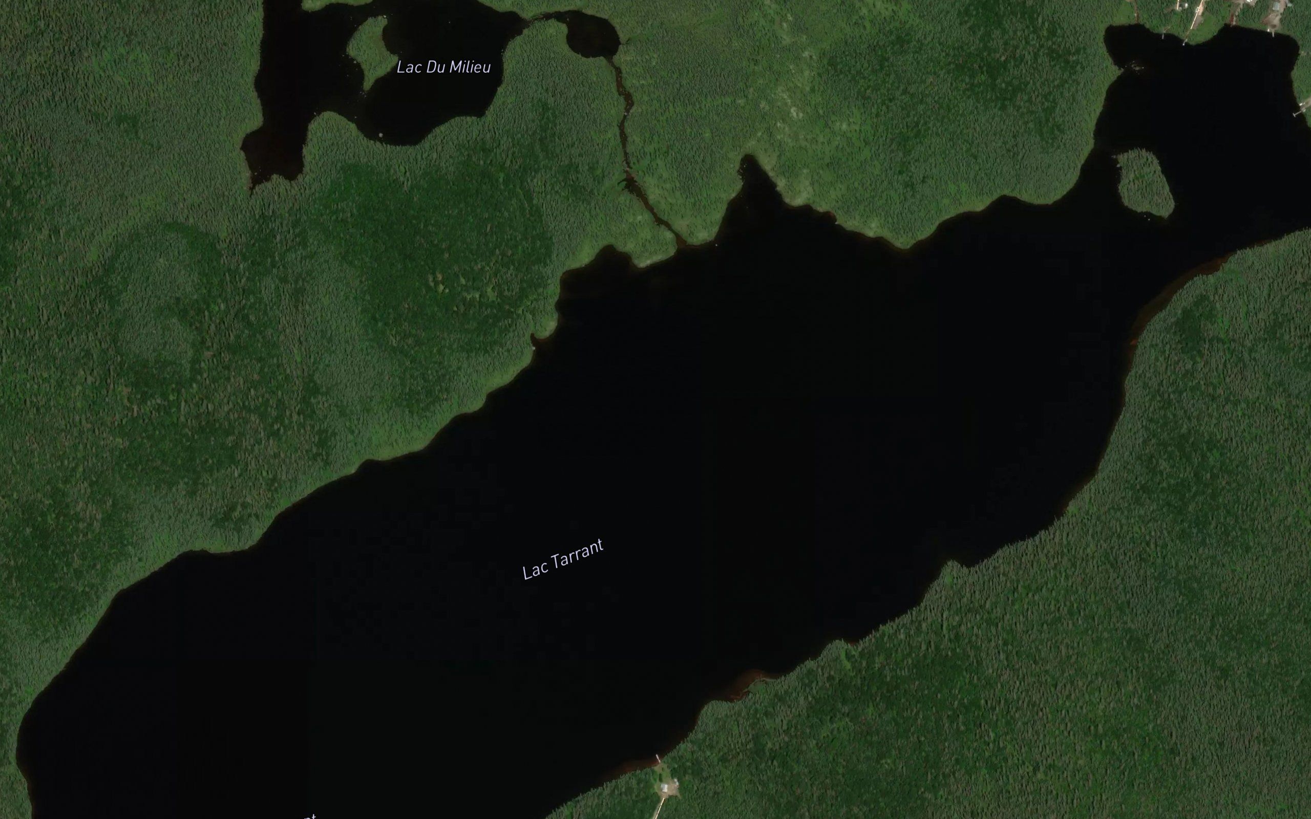 Lac Tarrant